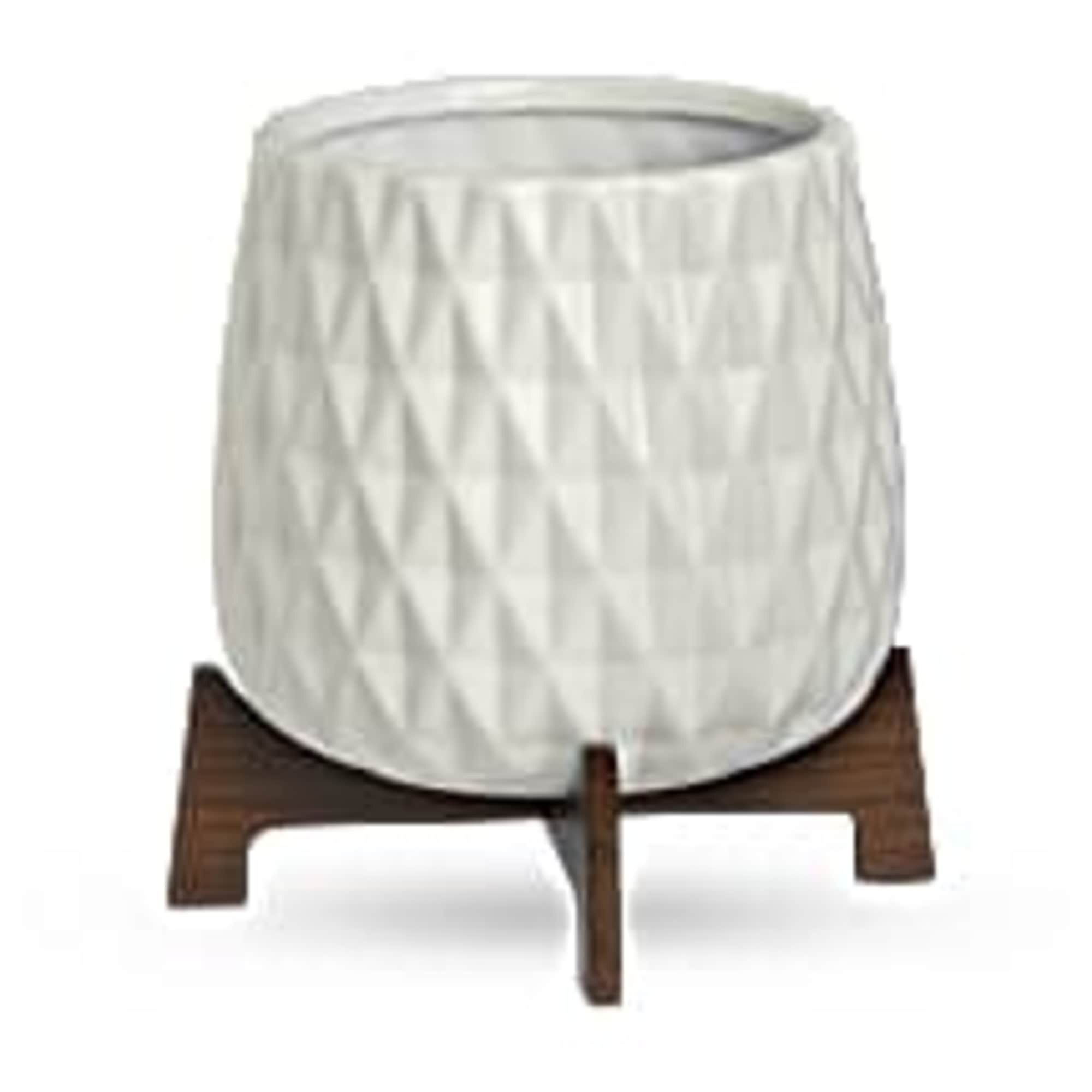 Celebrate any occasion with a lush potted plant in a charming glazed