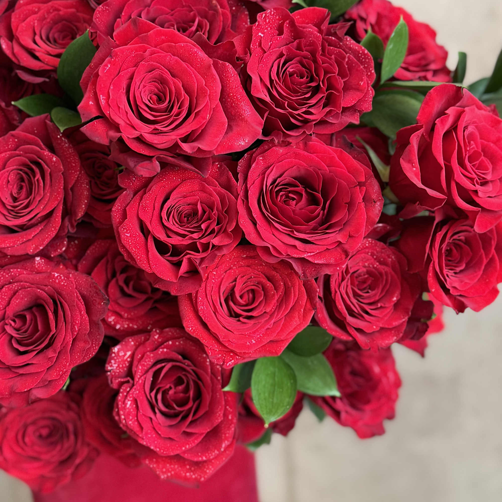 Gorgeous red roses in a velvet box!!!