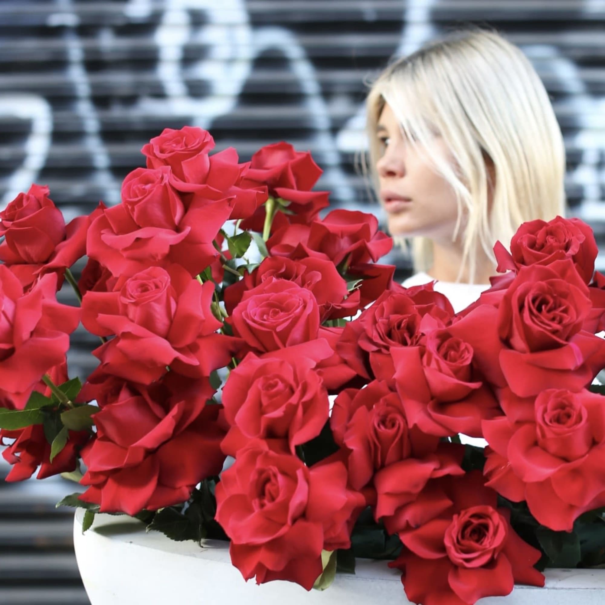 A masterpiece of contrast &mdash; bold red and mysterious black roses. Elegant.