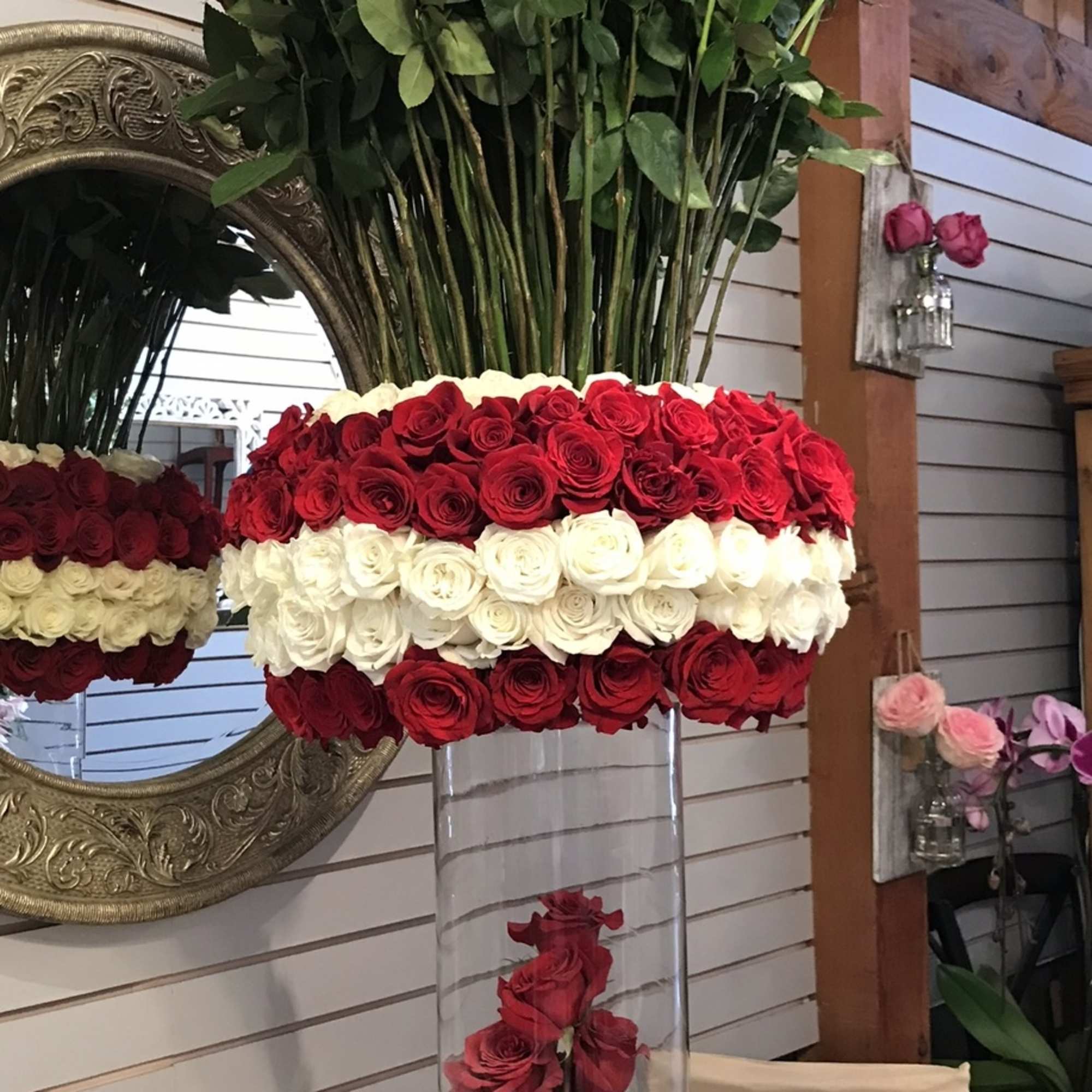 Flower : 150 red Ecuadorian roses in a tall cylinder glass vase