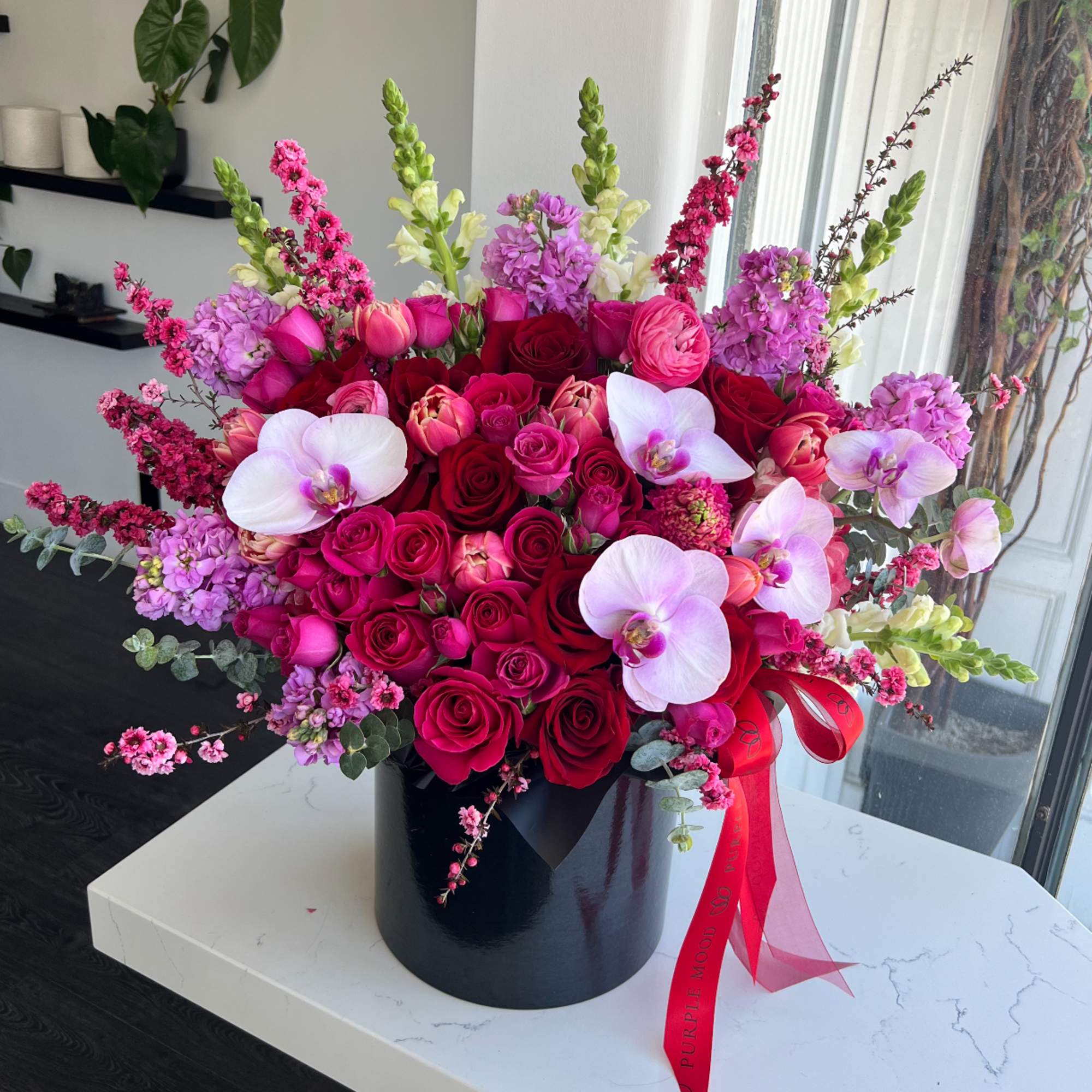 Standard - Container size D6.75'x H7.5'

Deluxe - Container size D8.25'x H9.5'

Premium -