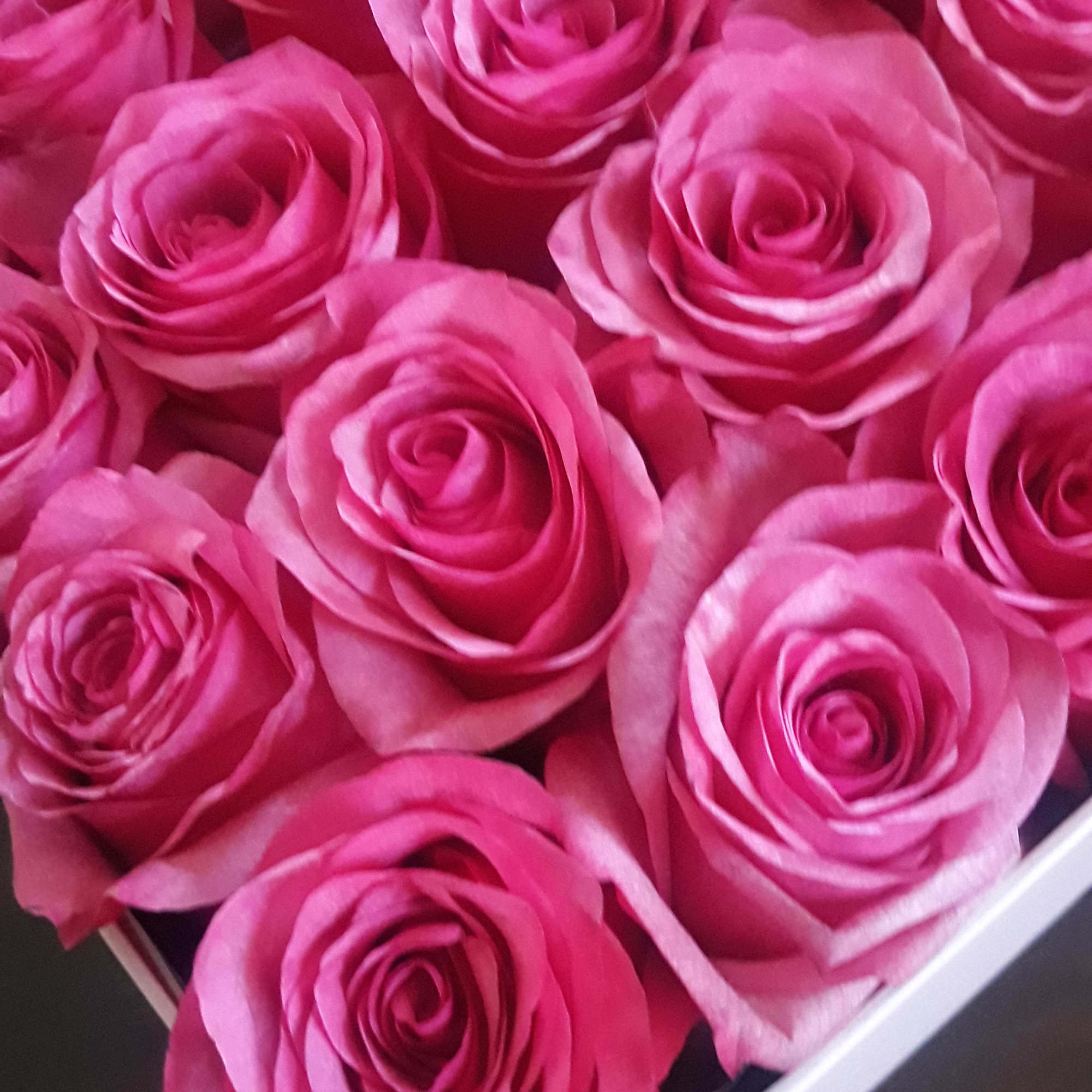 Size: REGULAR -16 roses     DELUXE - 25 roses
Lush