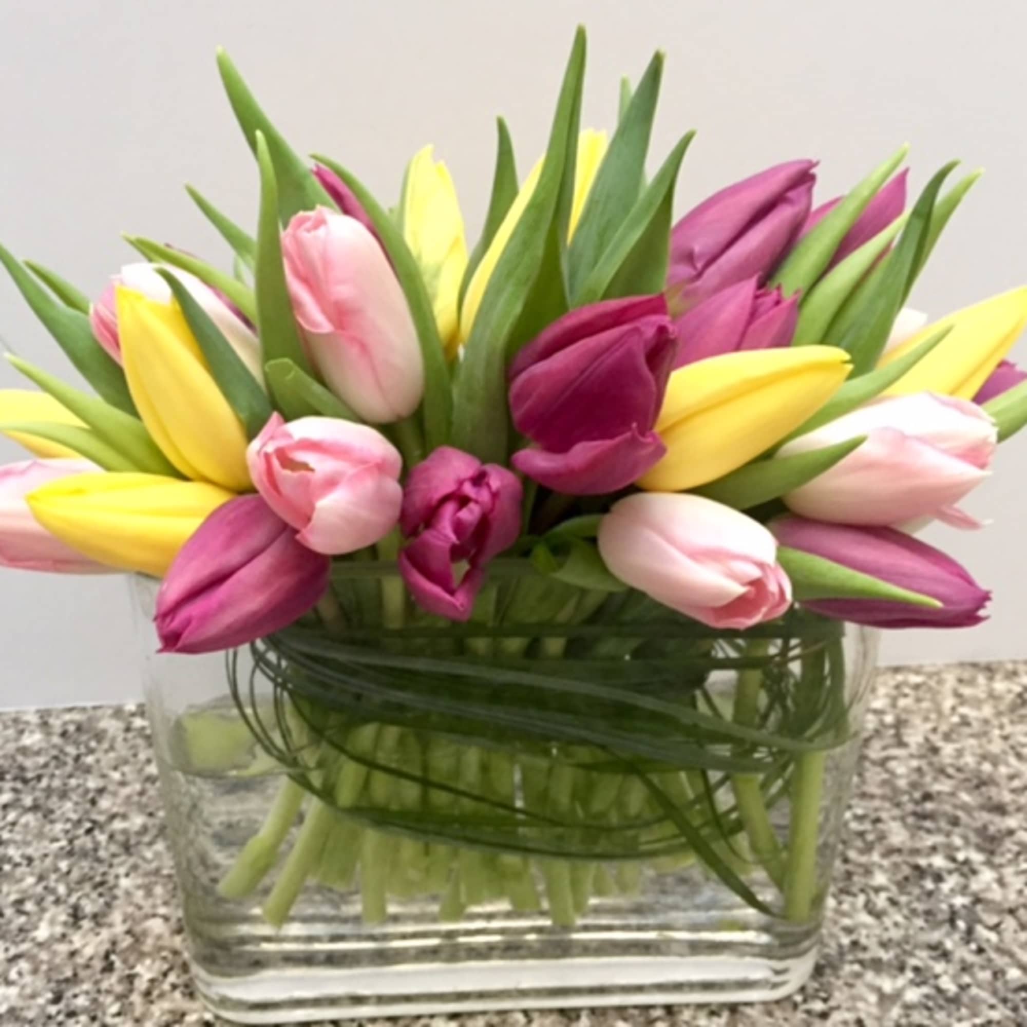 A gathering of 2 dozen tulips in the colors of the season