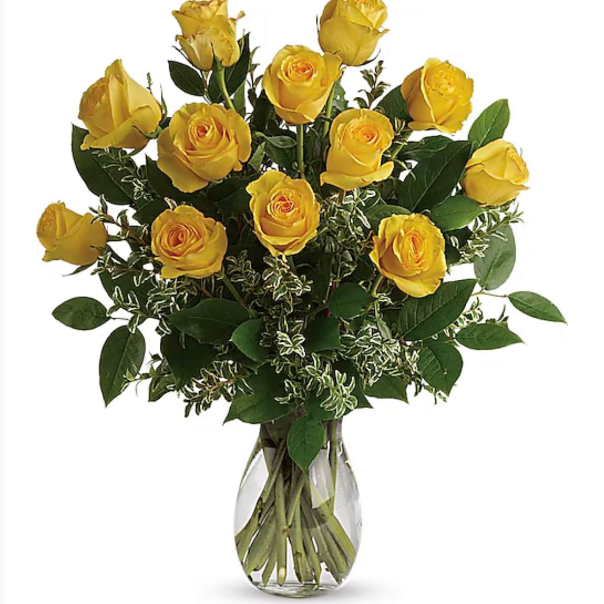 Radiant long-stem yellow roses accented with silver queen pittosporum, bringing a cheerful