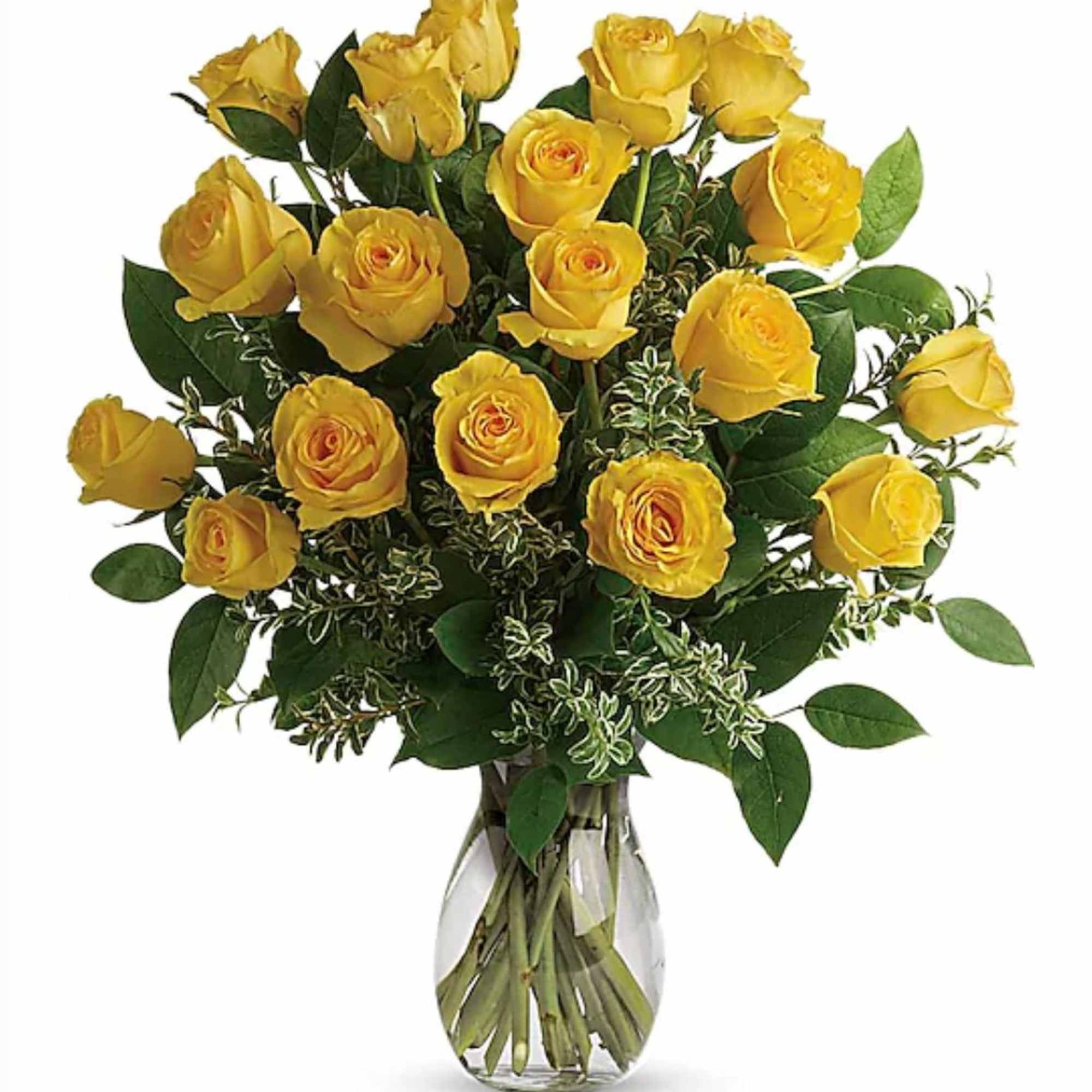 Radiant long-stem yellow roses accented with silver queen pittosporum, bringing a cheerful