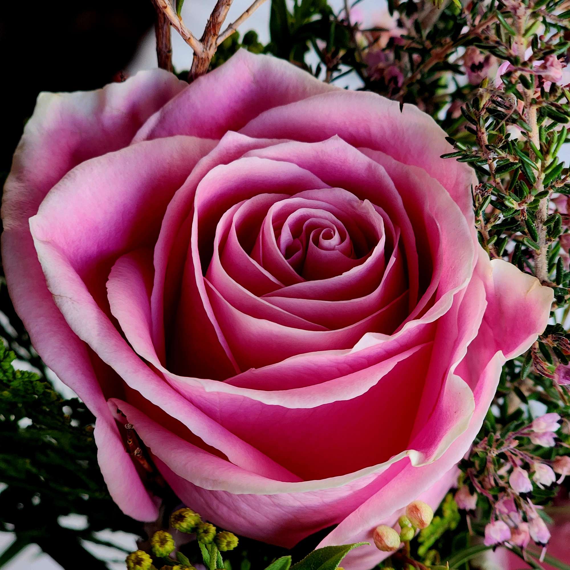 Sweet Statement of maybe a beginning or for your sweetheart. Pink Roses