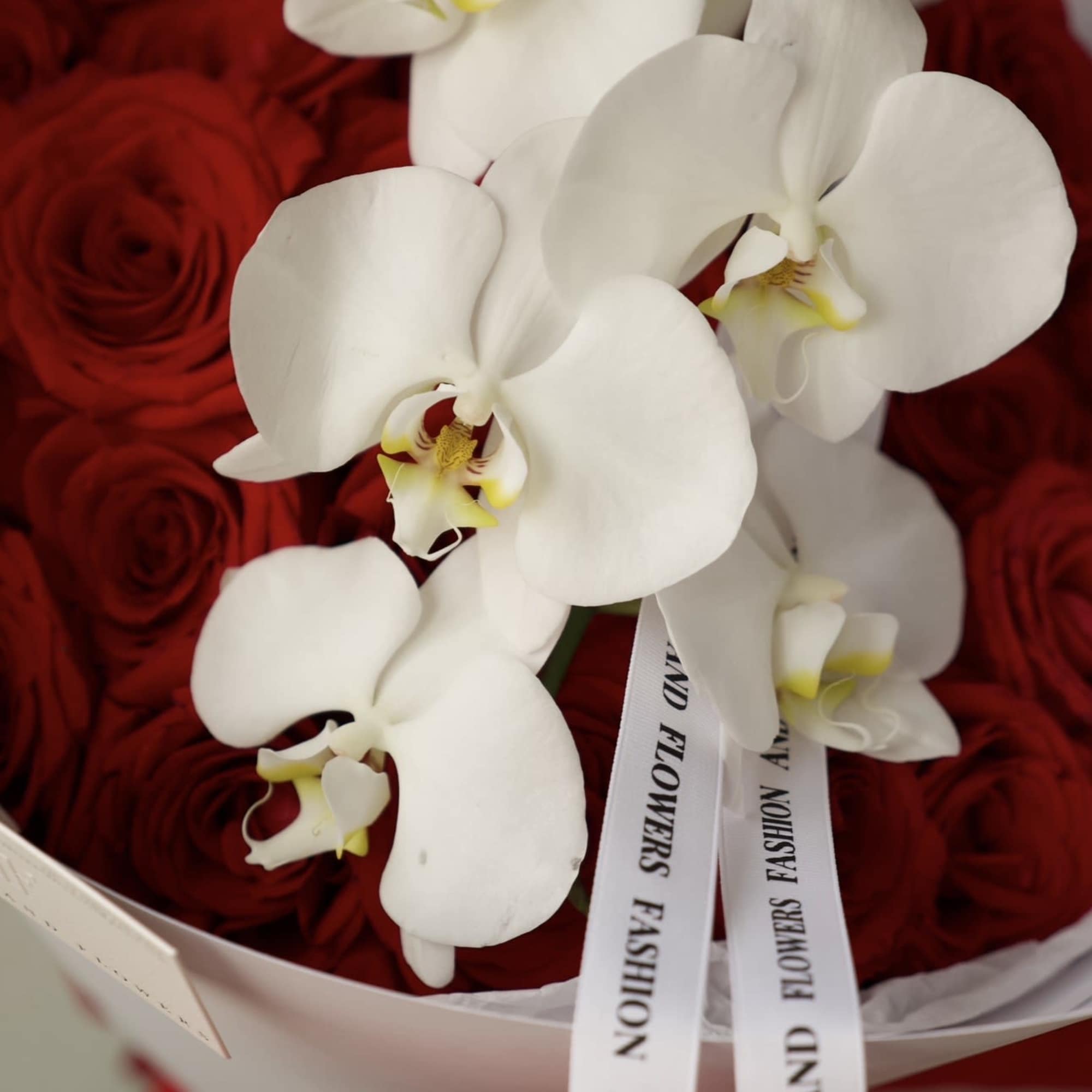 Luxurious bouquet of two dozen  premium red roses accented with elegant