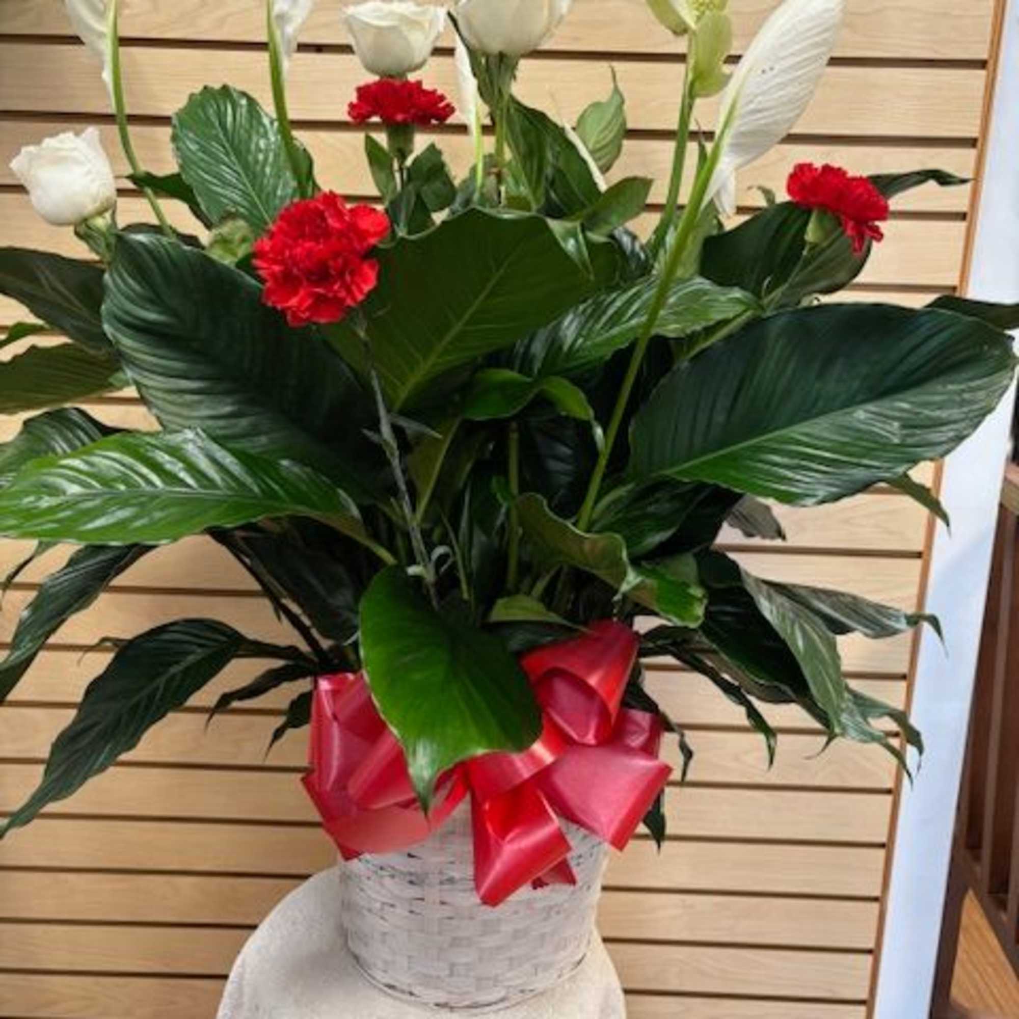 10" Peace lily in a basket with red carnations and white roses.

***PLEASE