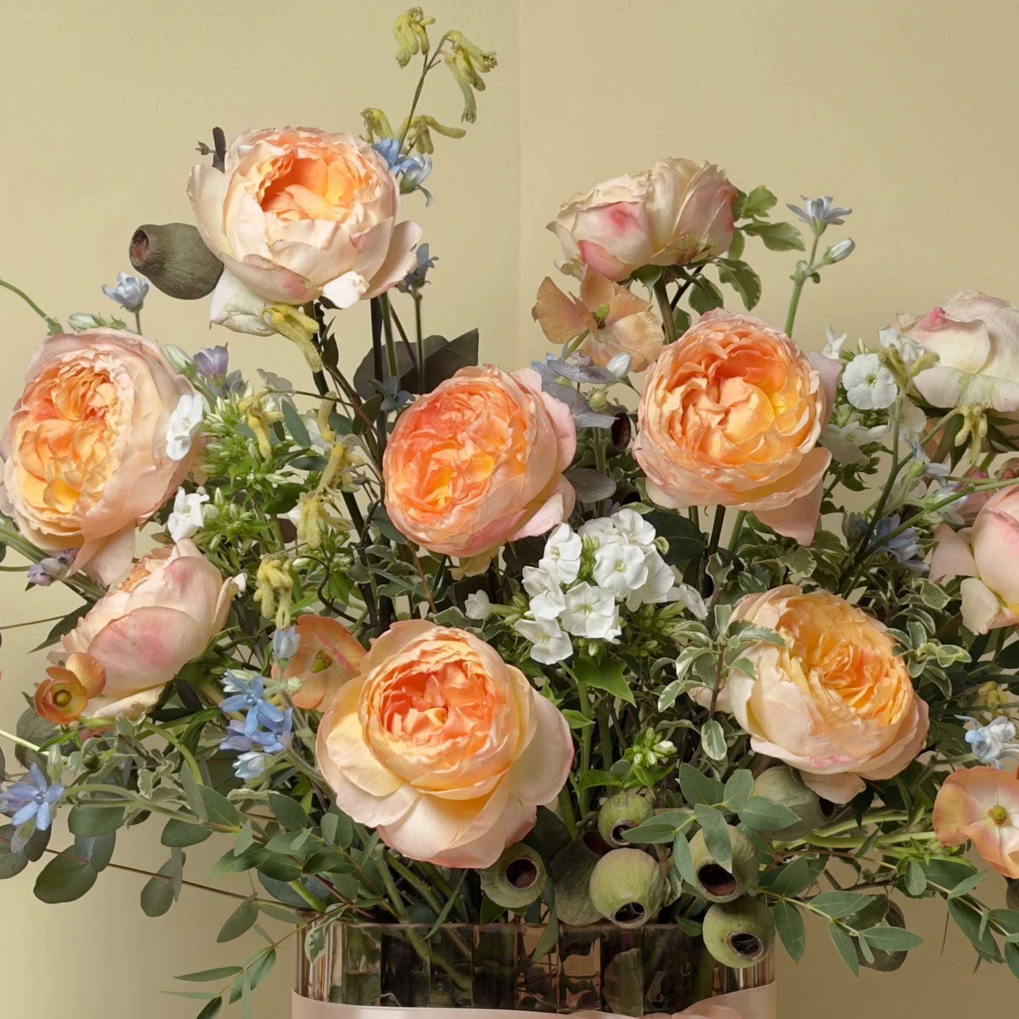 This stunning arrangement features Princess Aiko garden roses softly cradled by blue