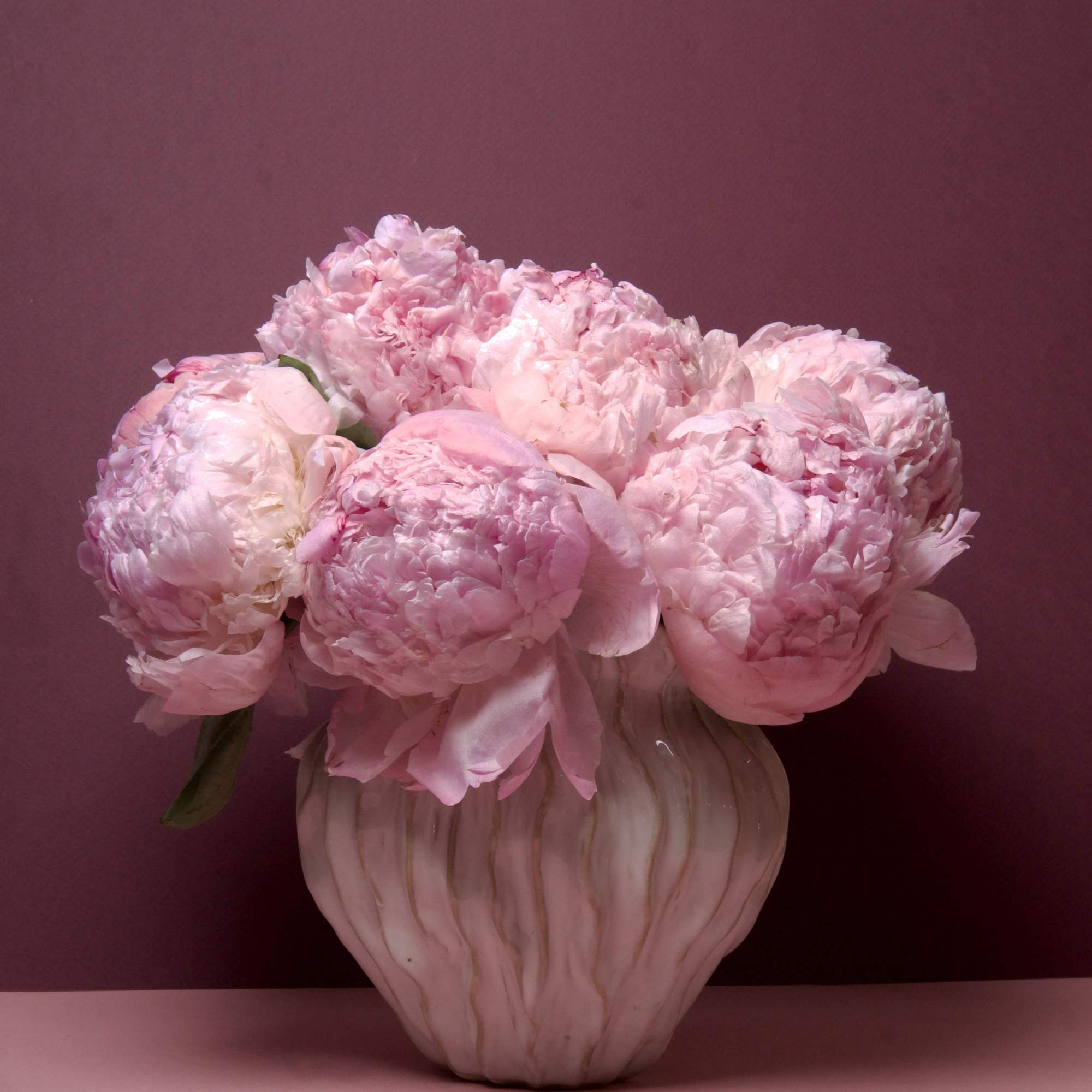 A beautiful arrangement featuring full, fragrant pink peonies gathered closely together to