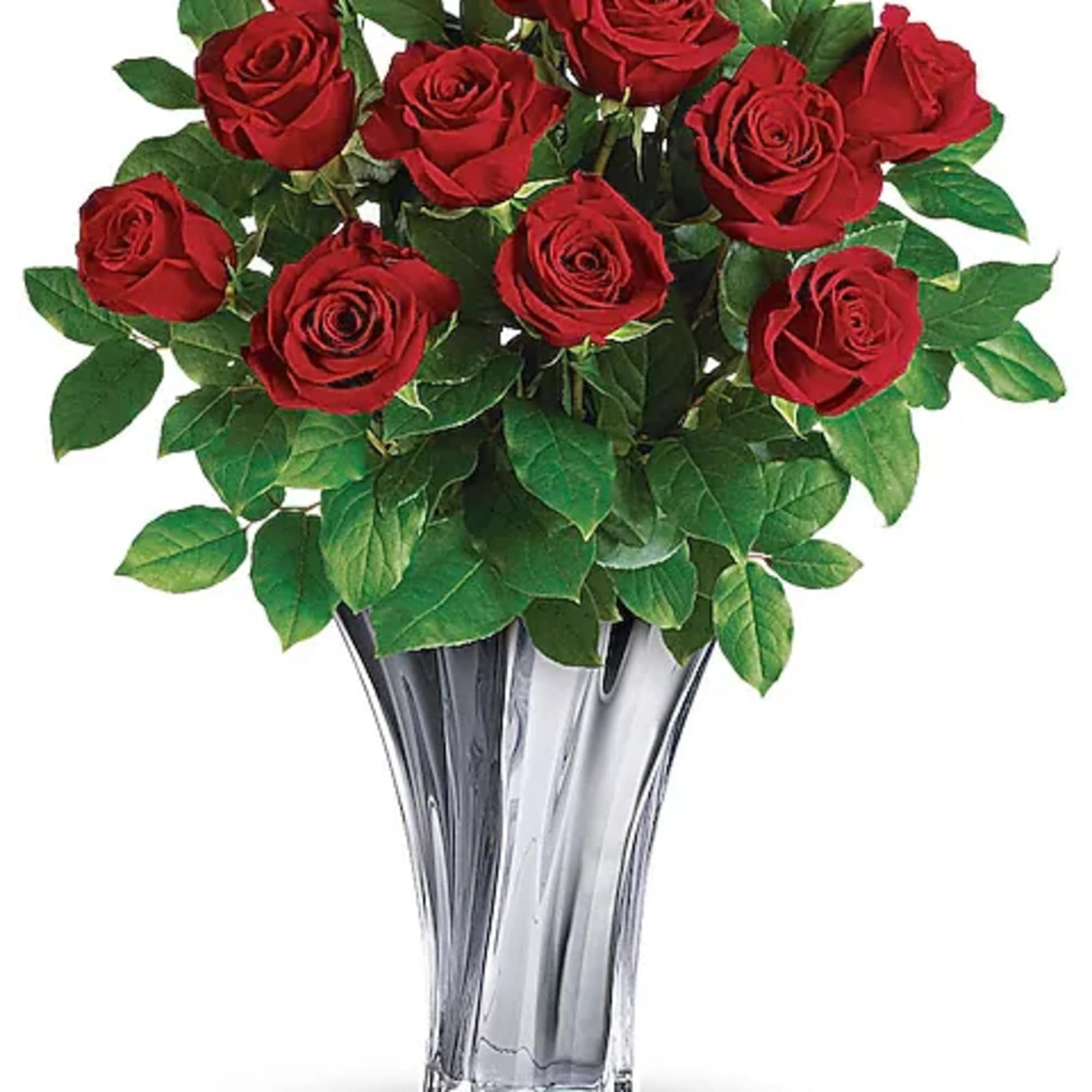 The definition of romance! Celebrate your love with classic red roses in