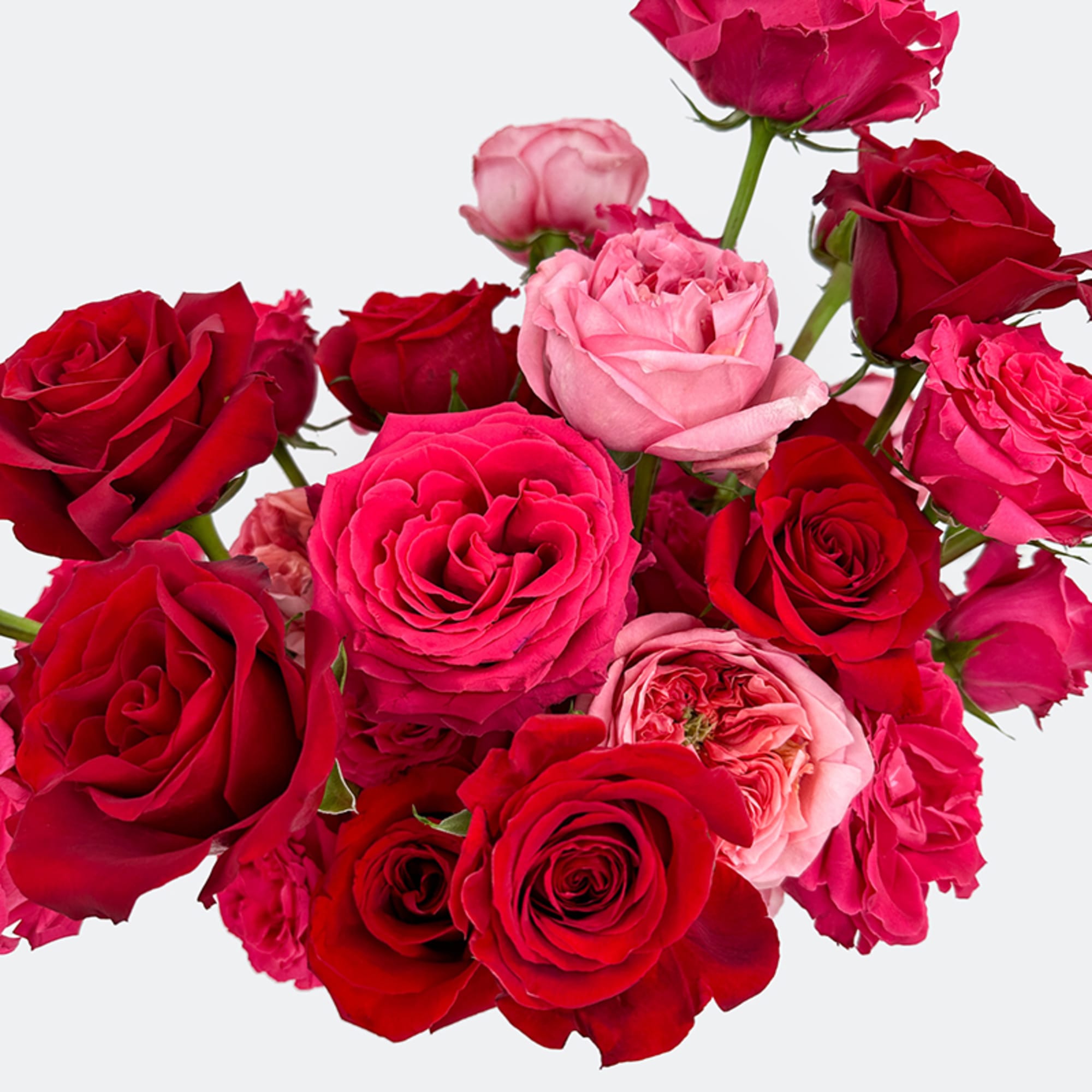 A gorgeous rose flower arrangement wth over 3 dz roses in all