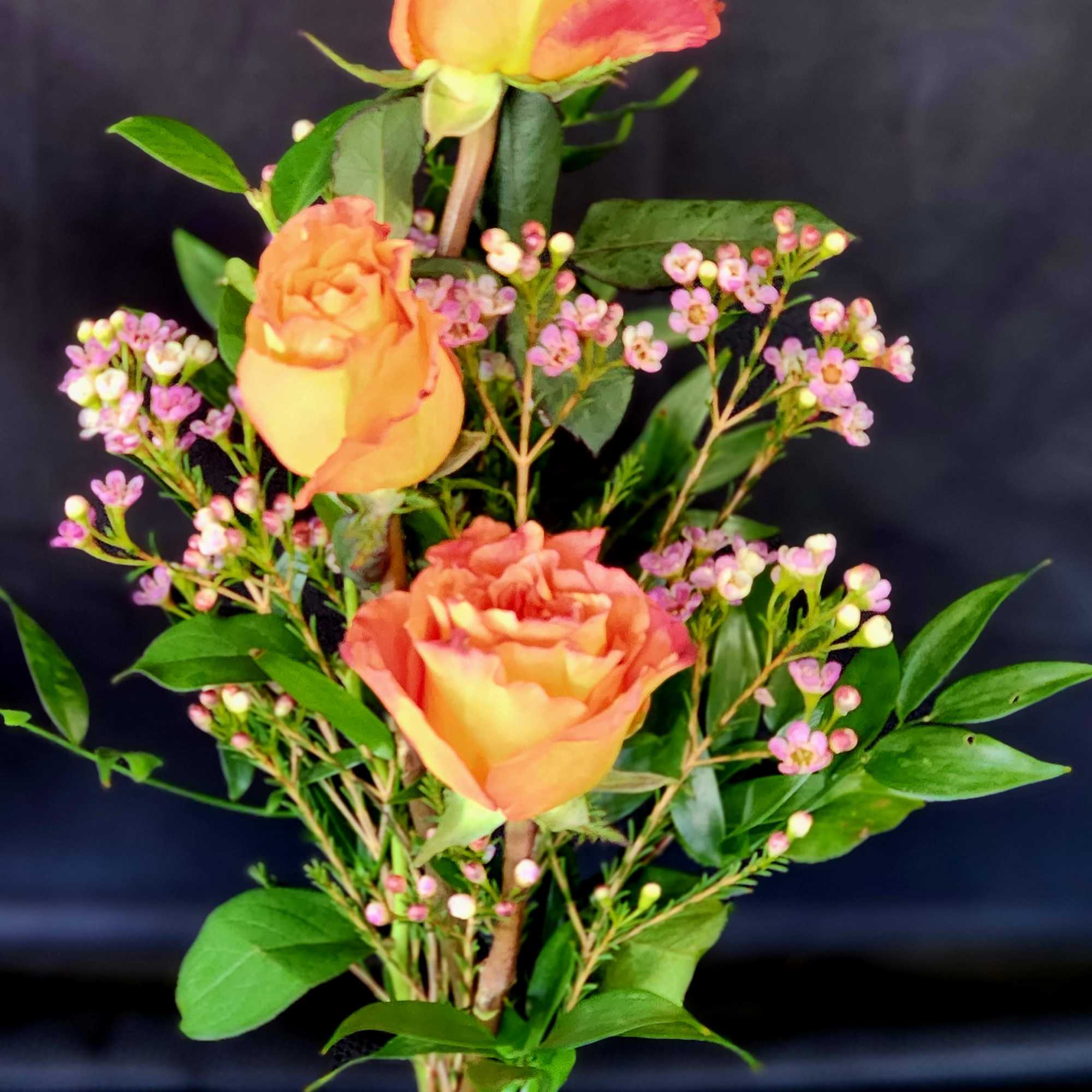 3 red roses in a bud vase with the citrus fragrance of