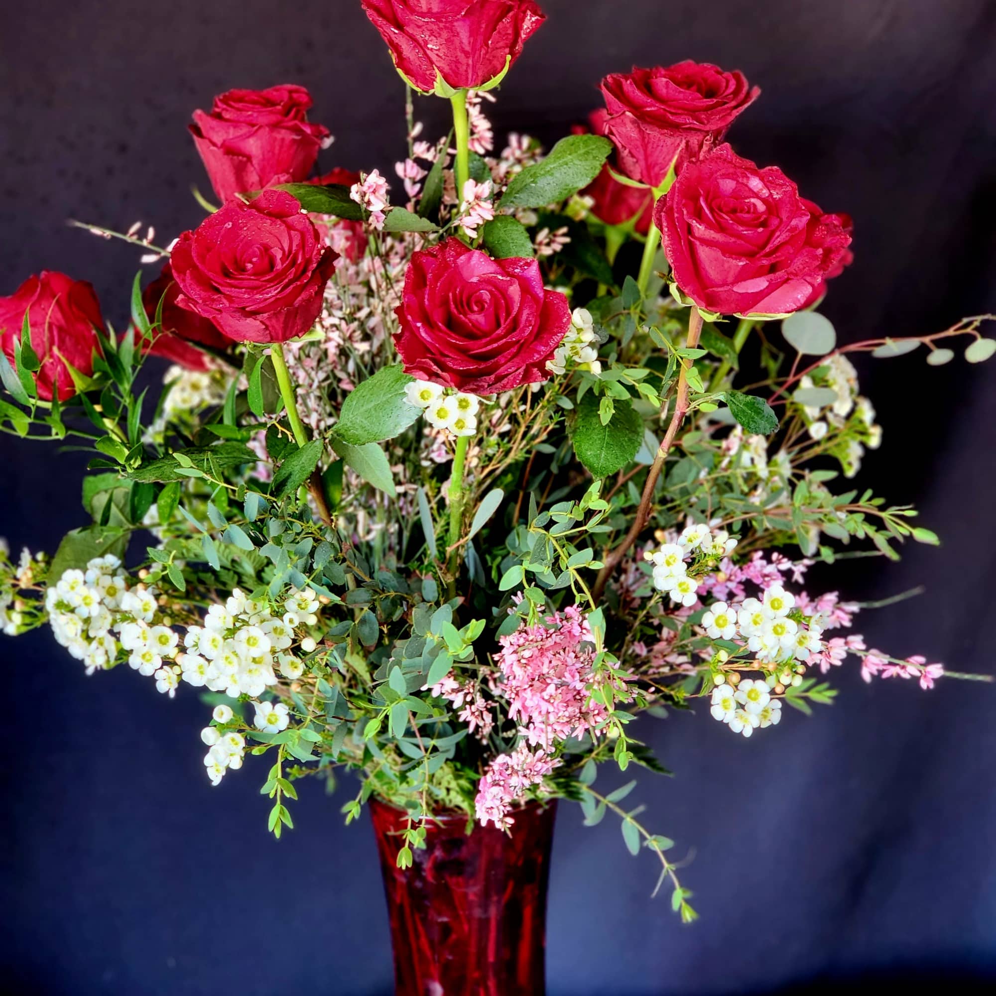 Our Red Roses are bombastic long stem Red Panthers. It is reddish-pink