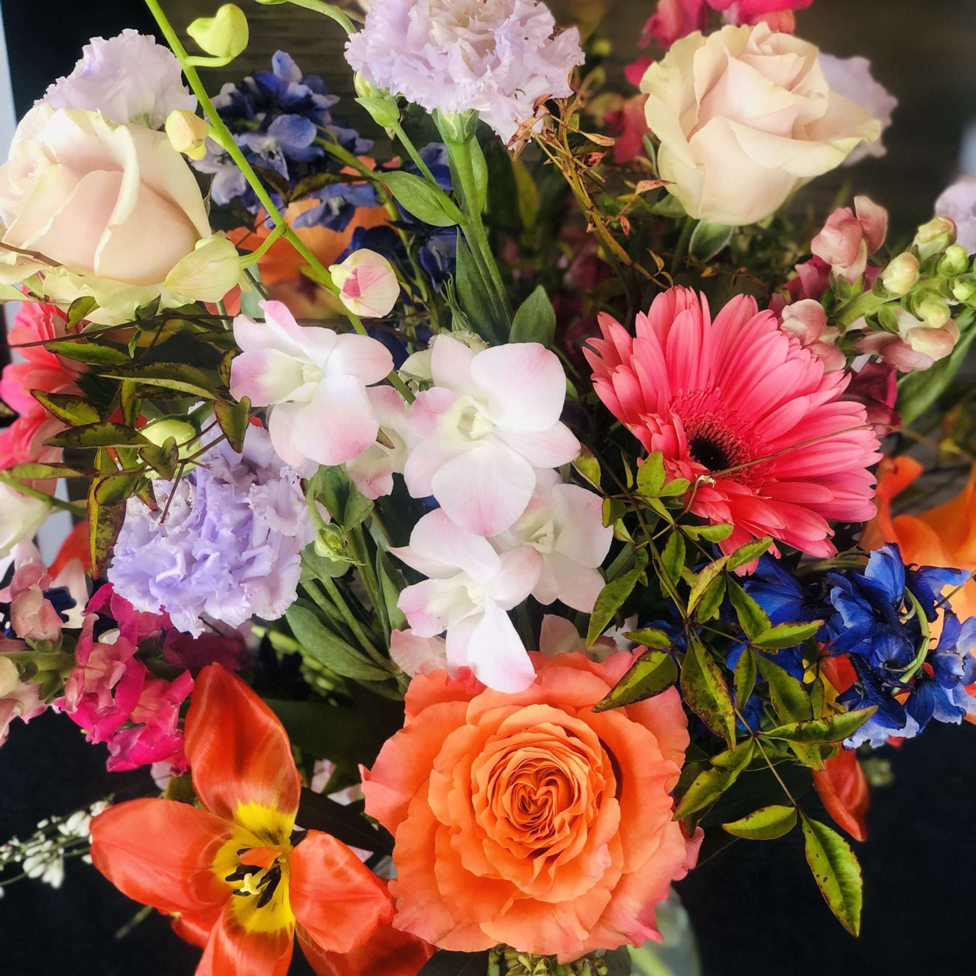 Take your pick, color pop, monochromatic or explosive!