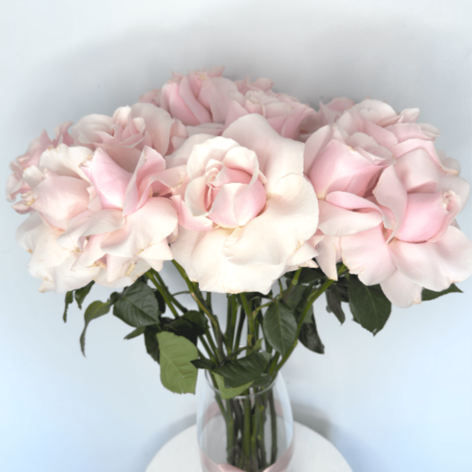 Baby Pink Cotton Candy Roses is a soft and elegant arrangement of