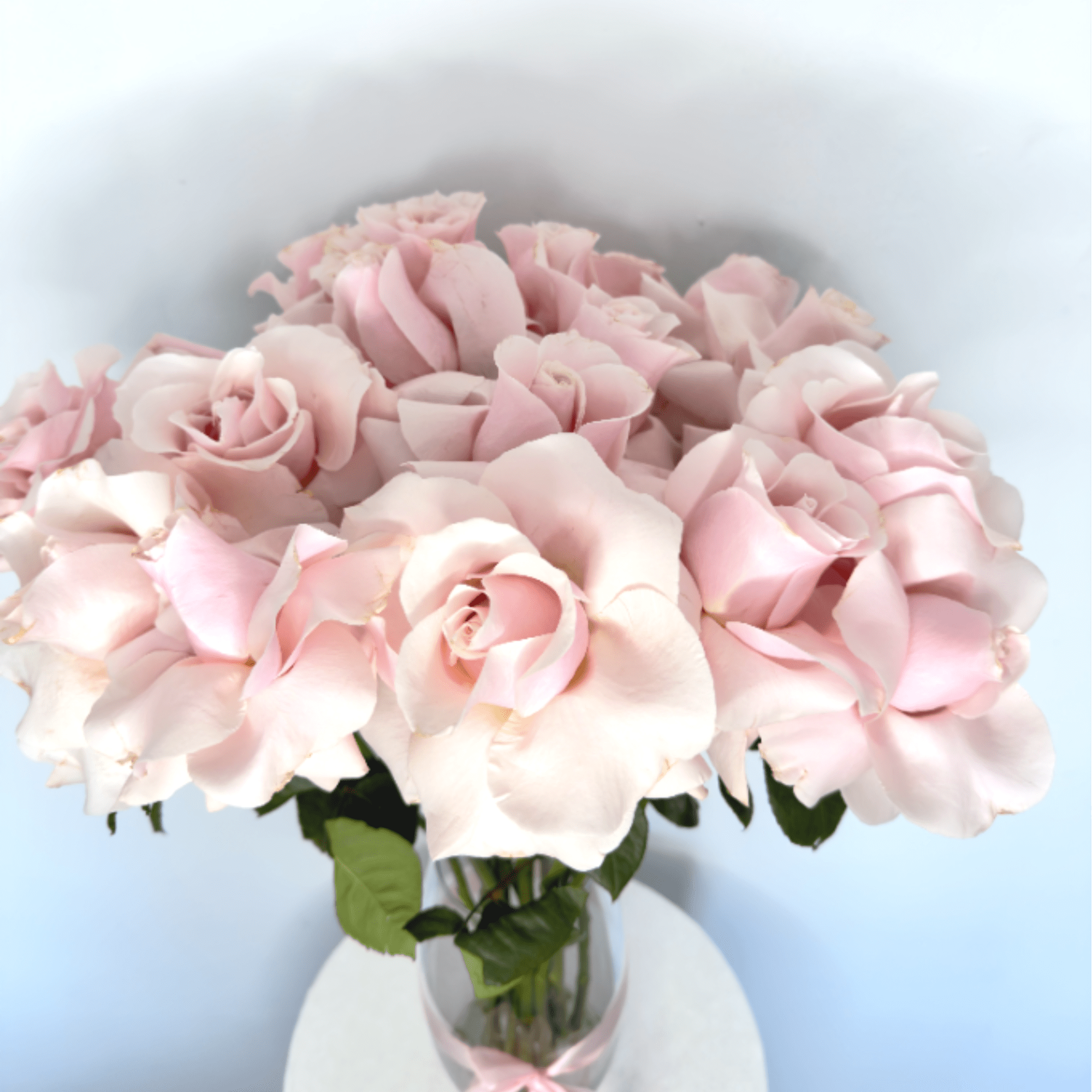 Baby Pink Cotton Candy Roses is a soft and elegant arrangement of