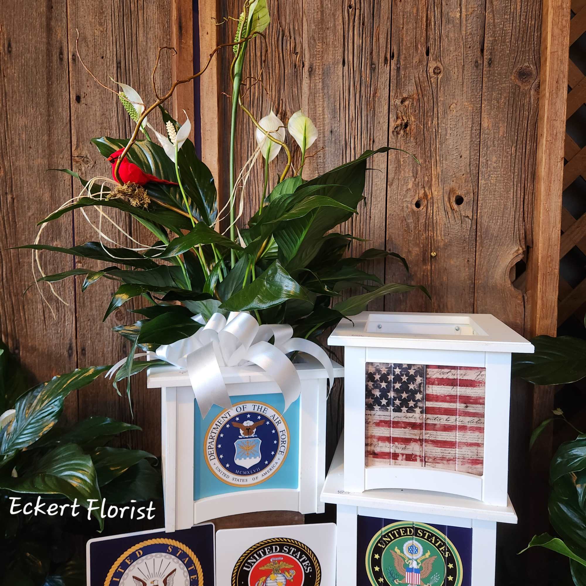 This planter is inserted with a growing spathiphyllum (Peace lily) plant.
Please specify