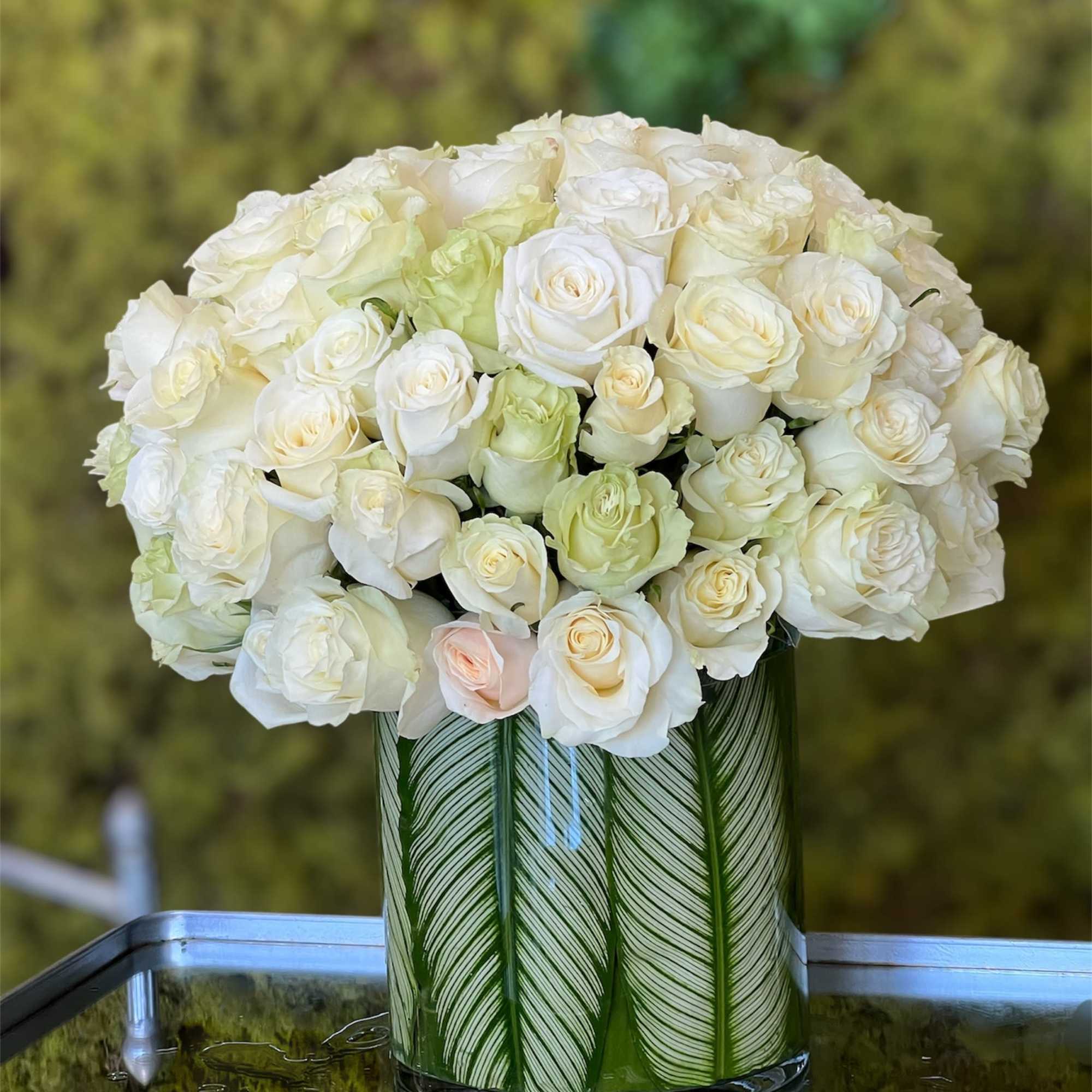 50 white Roses, arranged in a leaf-lined vase