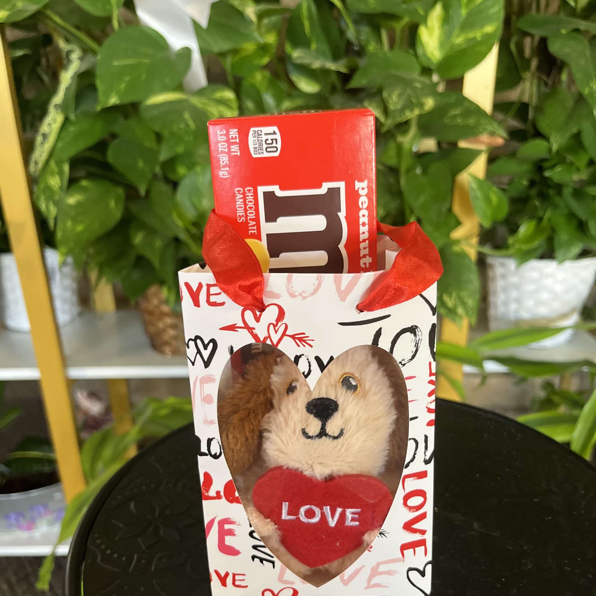 dog plush and m&amp;ms 