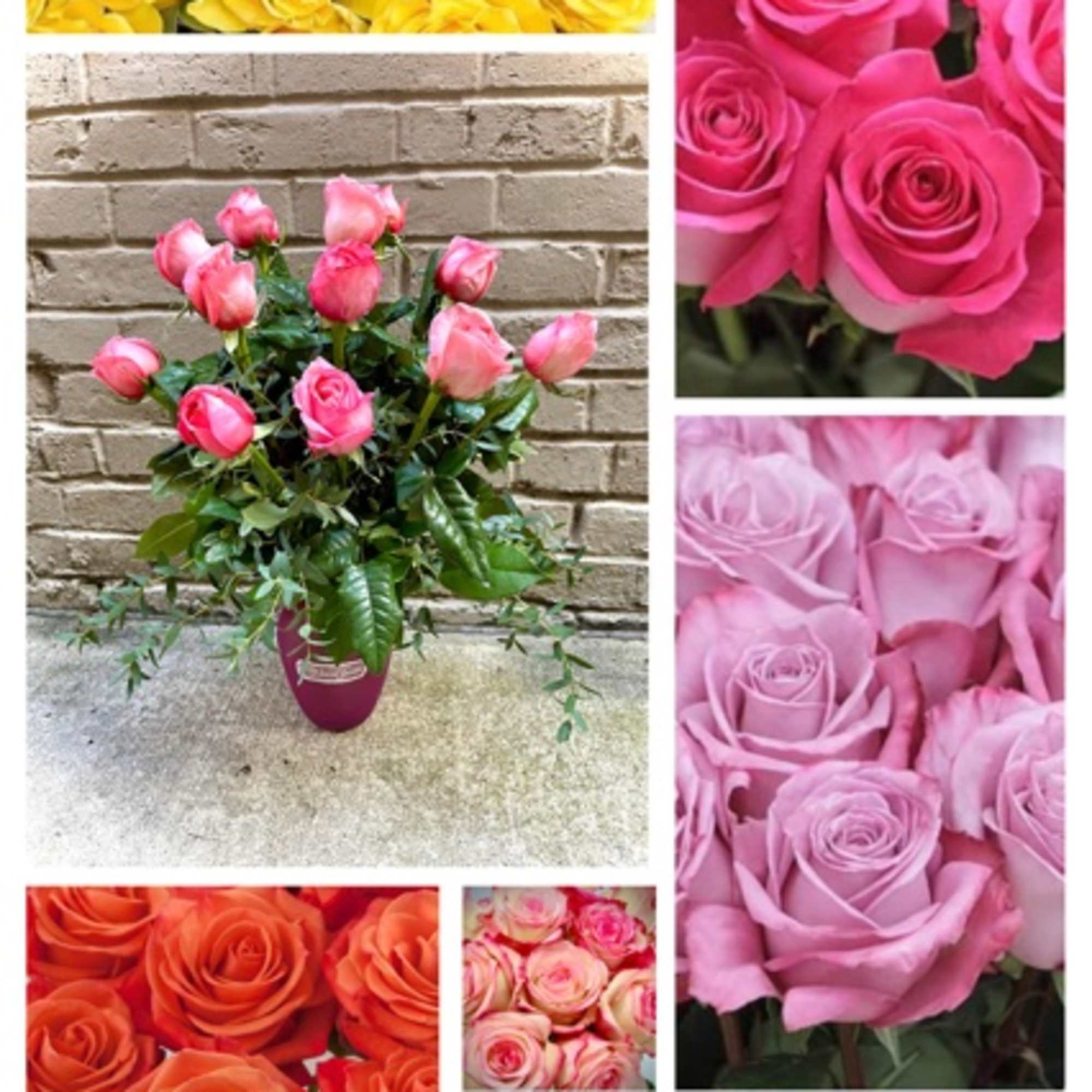 Give the gift of love with our featured Darling Dozen Colors- including