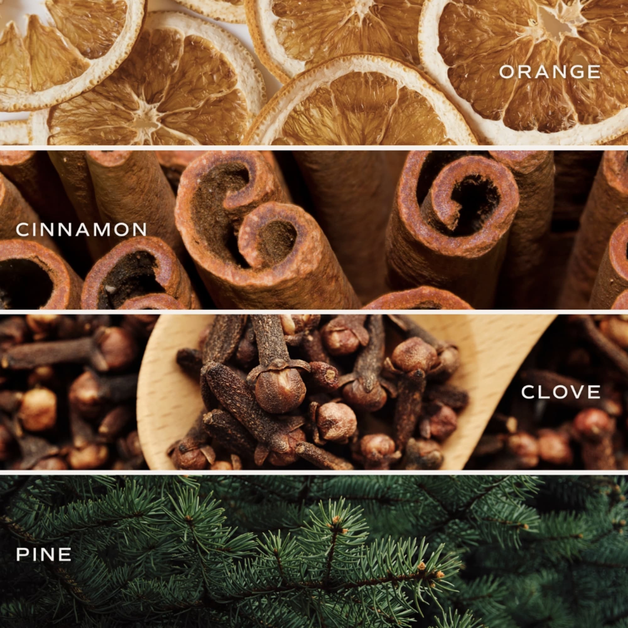 Our Warm and Cozy fragrance is the perfect transitional scent for the