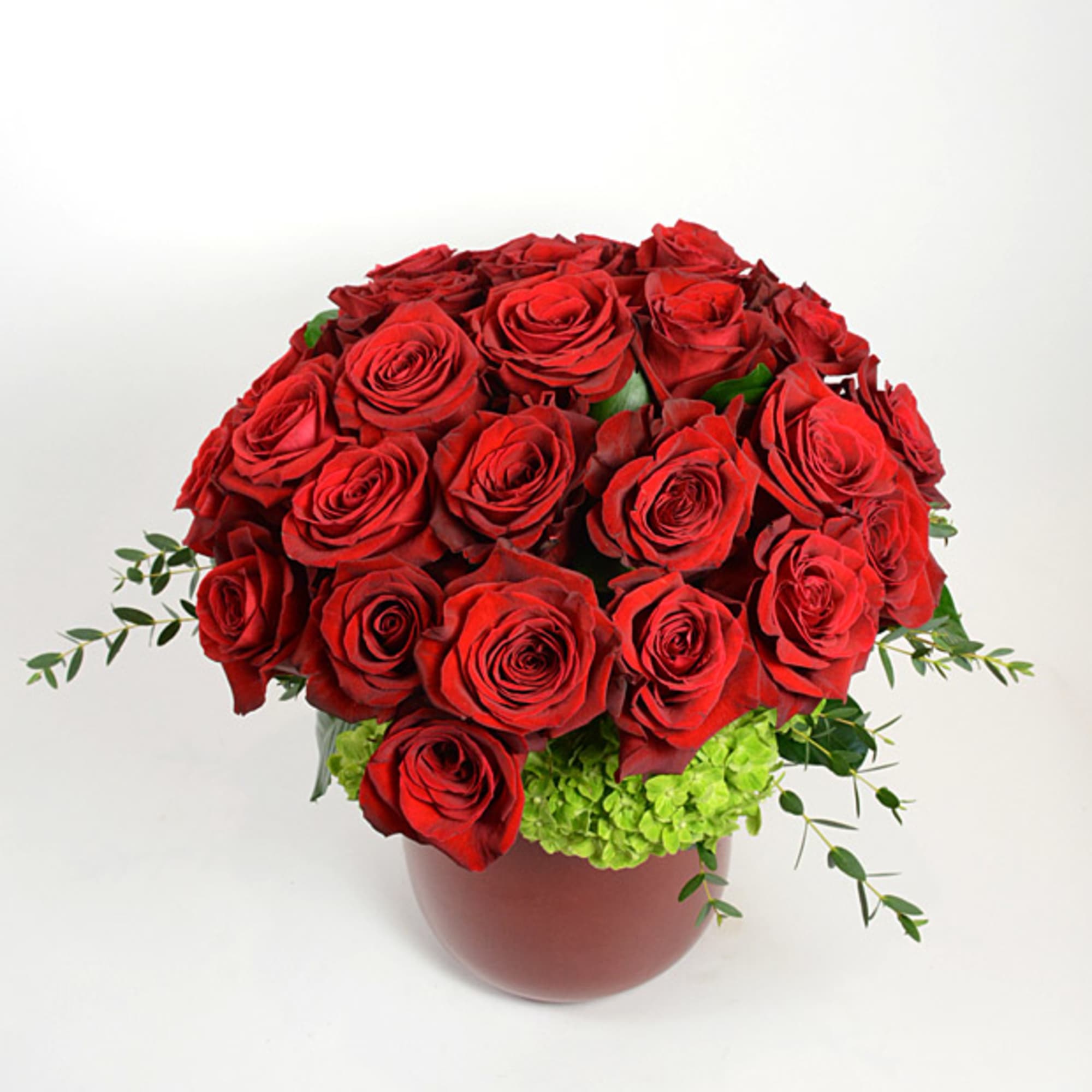 Twenty four red roses accented with hydrangea and French ribbon are presented
