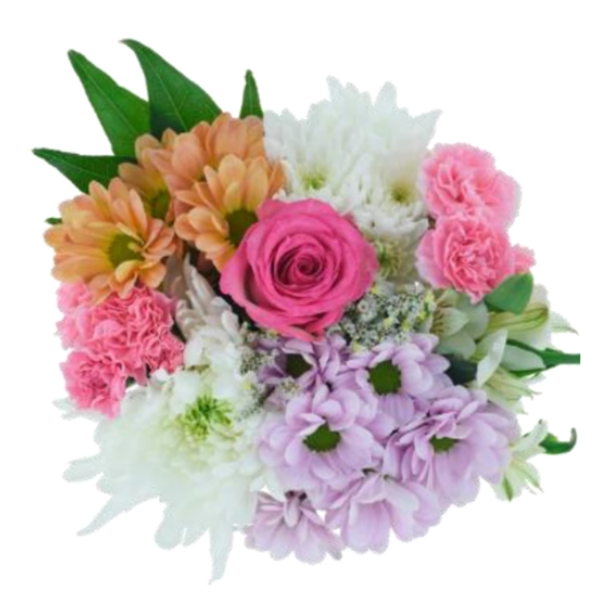 Blushing with love, this wrap is full of pastel daisies, roses, and