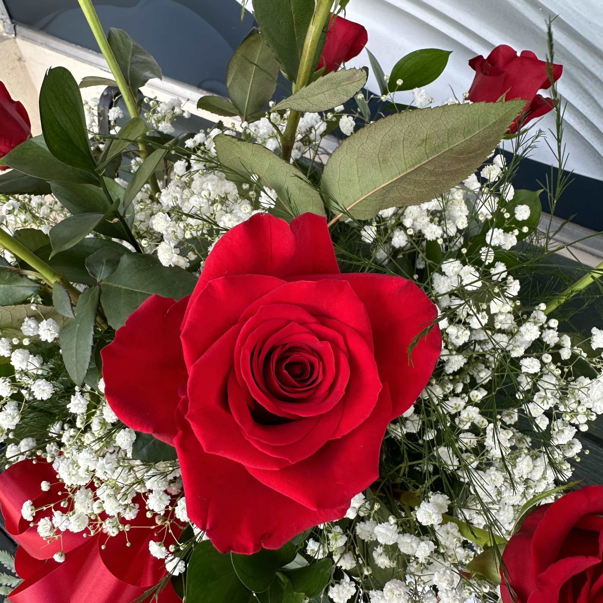 a dozen beautiful red roses arranged with a little green and a