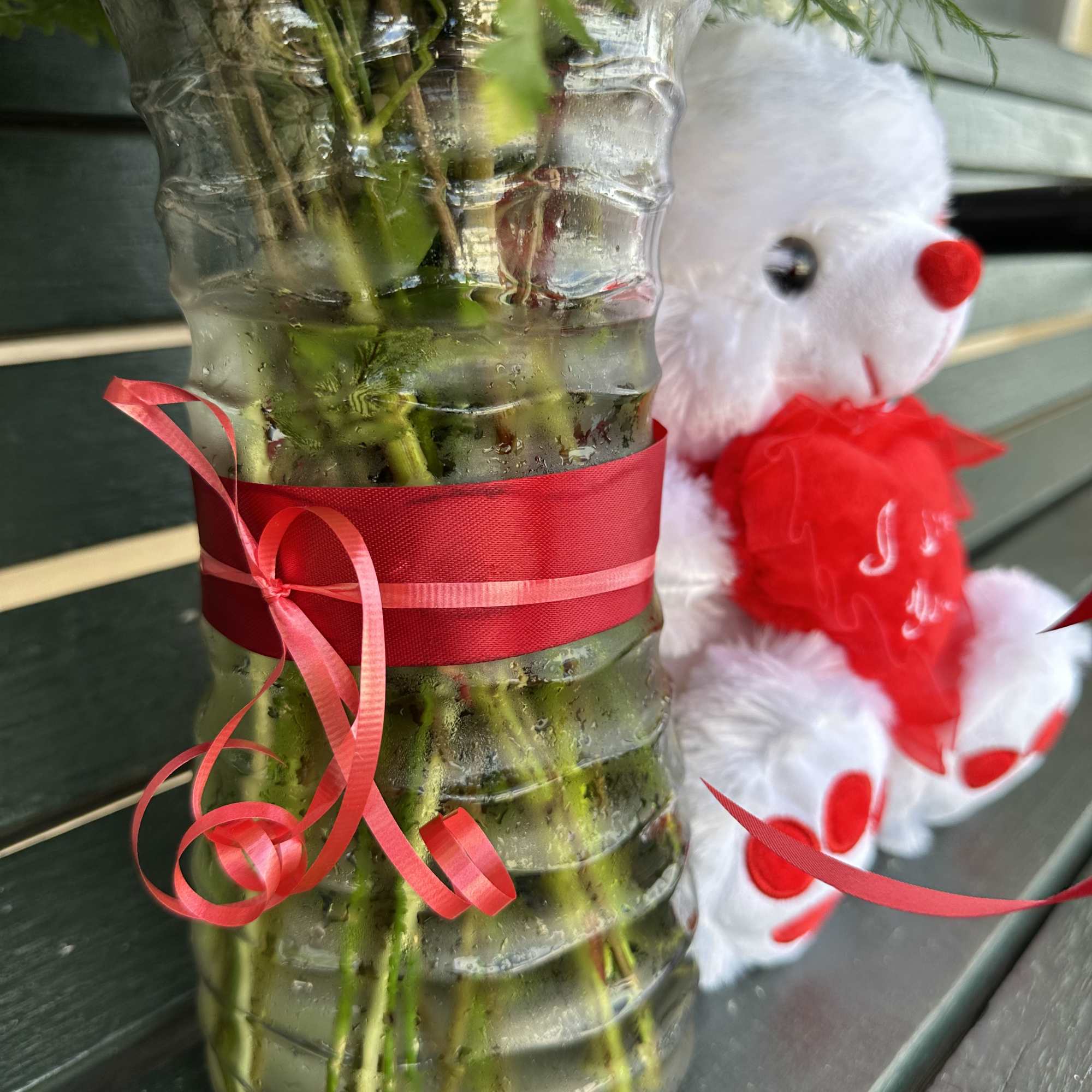 a dozen beautiful red roses arranged with a little green and a