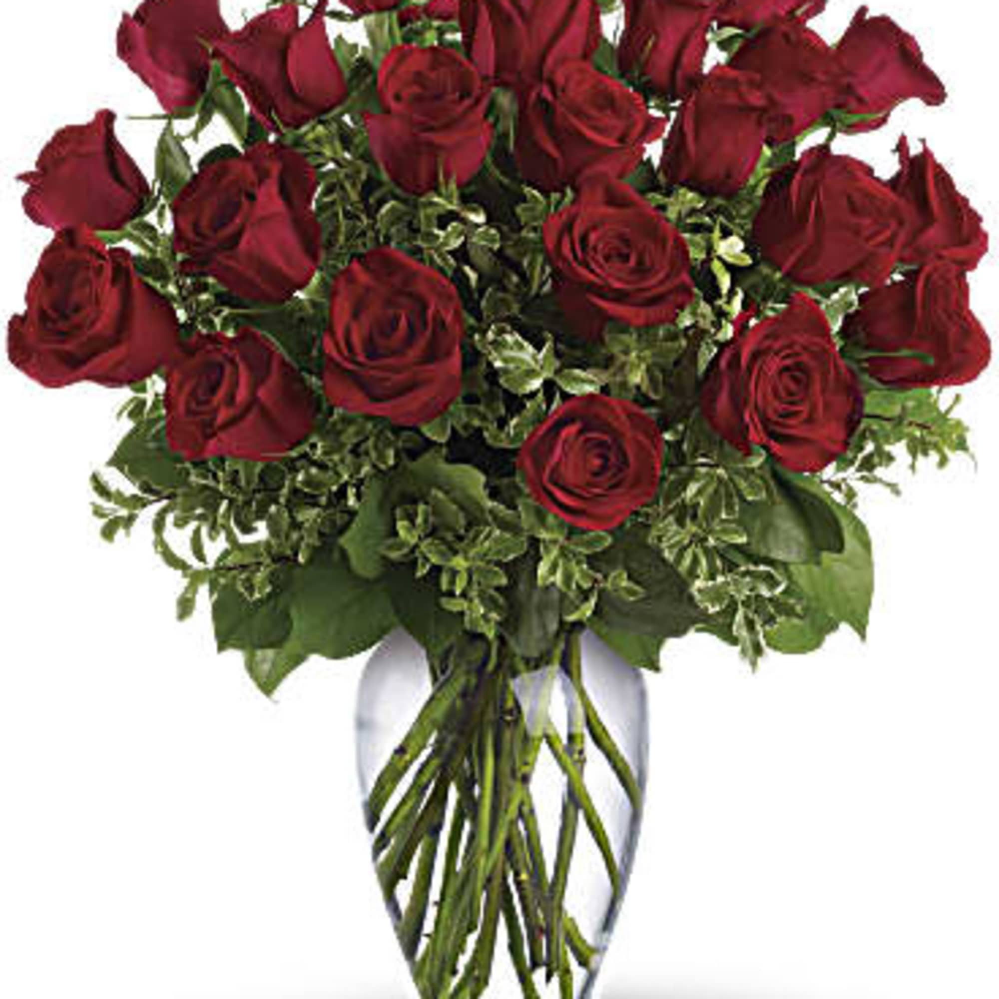 Two dozen red roses are accented with fresh green bupleurum and salal.

Say
