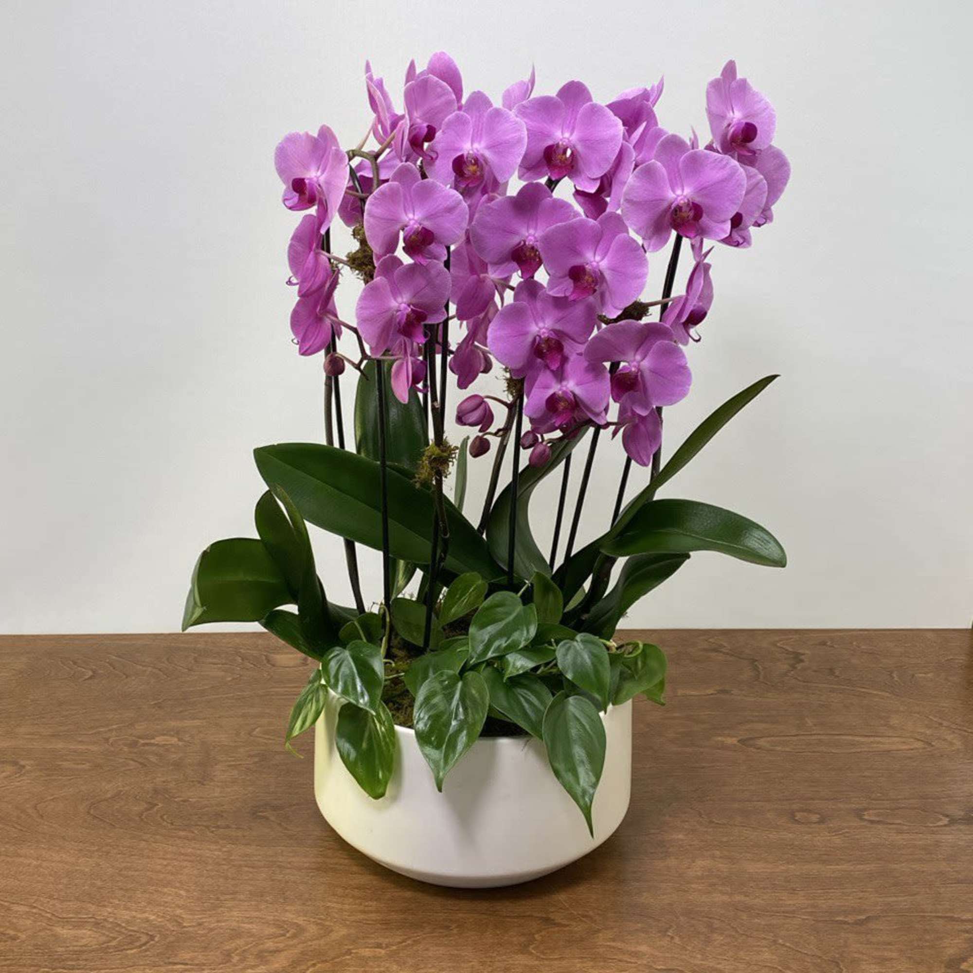 A luxurious display of cascading purple Phalaenopsis orchids arranged in a modern