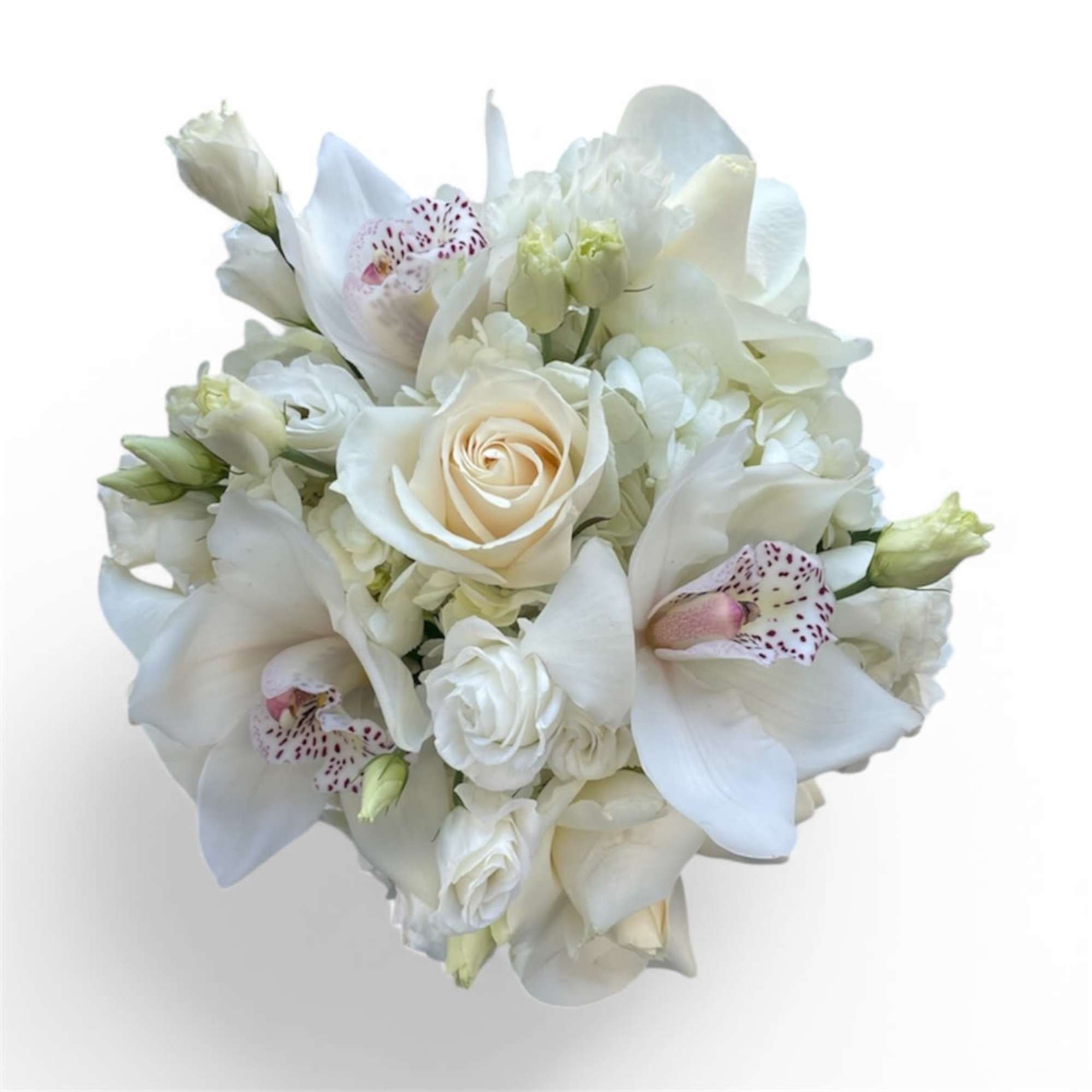 This beautiful arrangement is made up of white roses, lisanthus, hydrangeas and