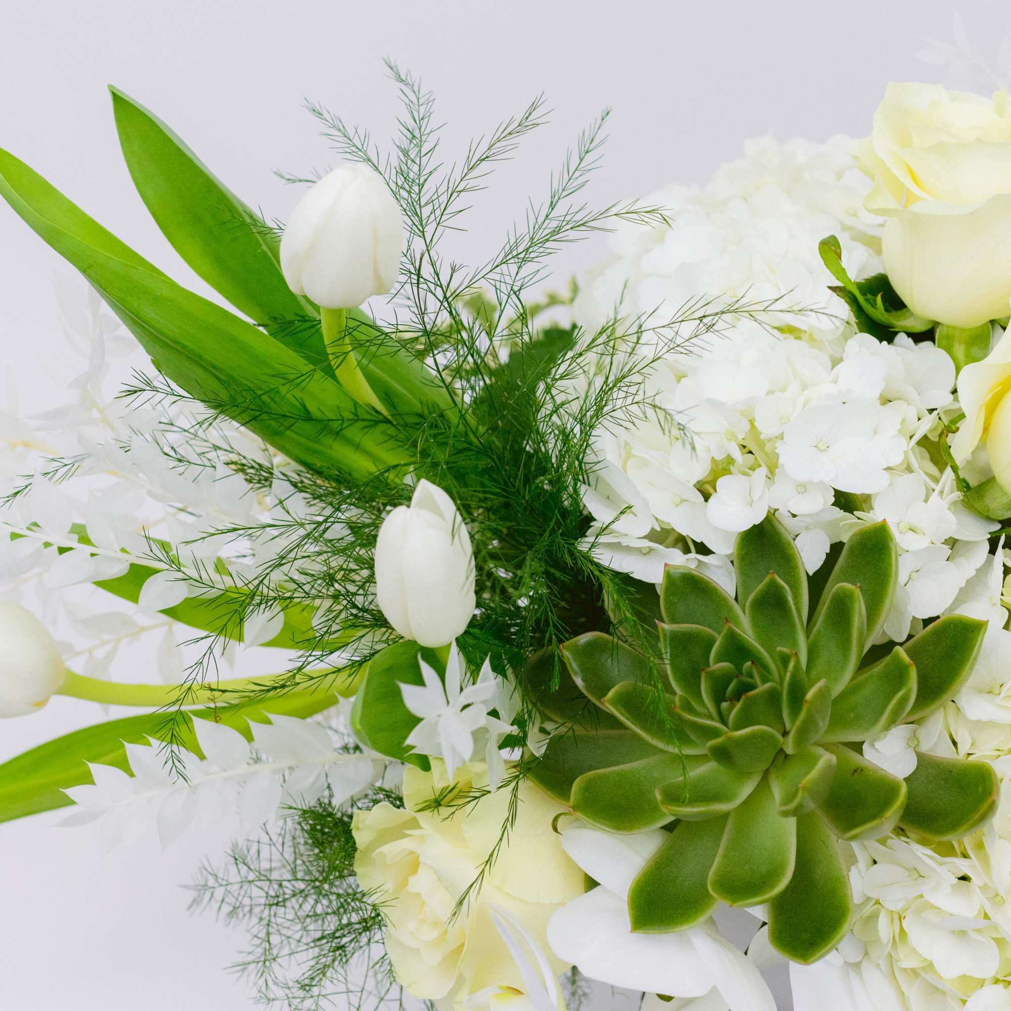 WHITE MIXED FLOWER VASE WITH VENDELA ROSES AND SUCCULENTS

Fresh and edgy. A