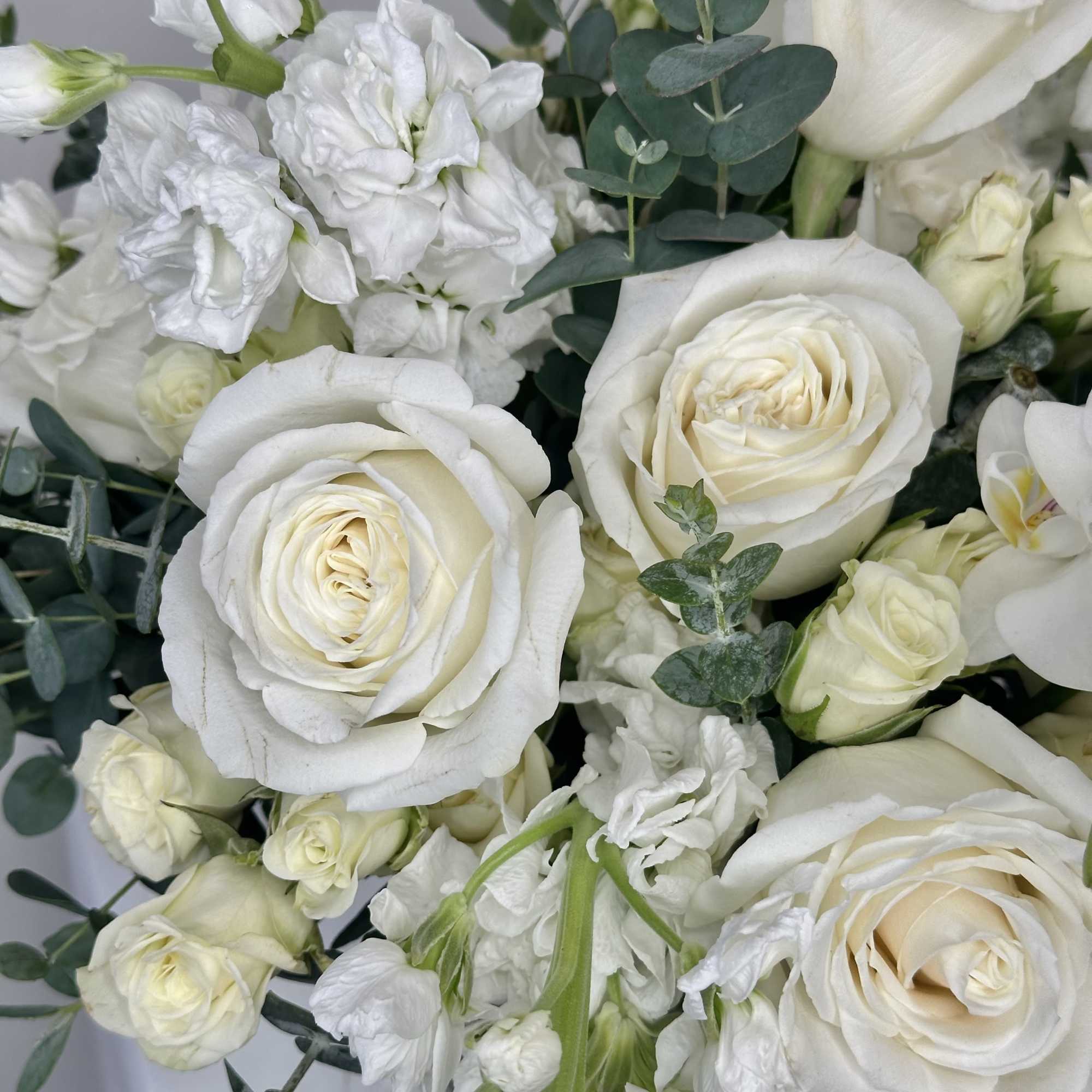 Discover the timeless elegance of Purity, a luxurious all-white flower arrangement from