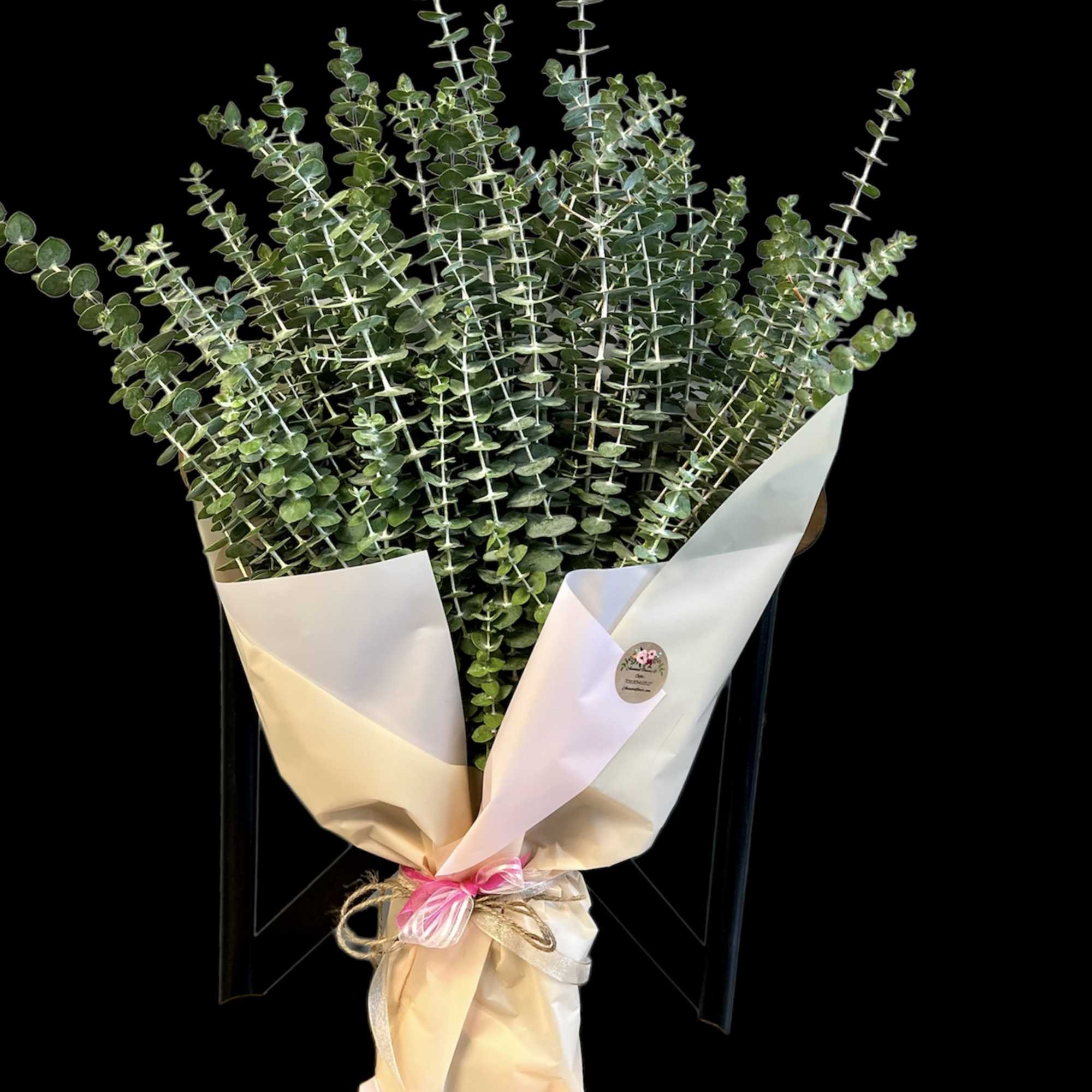 Turn your daily shower into a calming, spa-like escape. Our Self-Care Eucalyptus