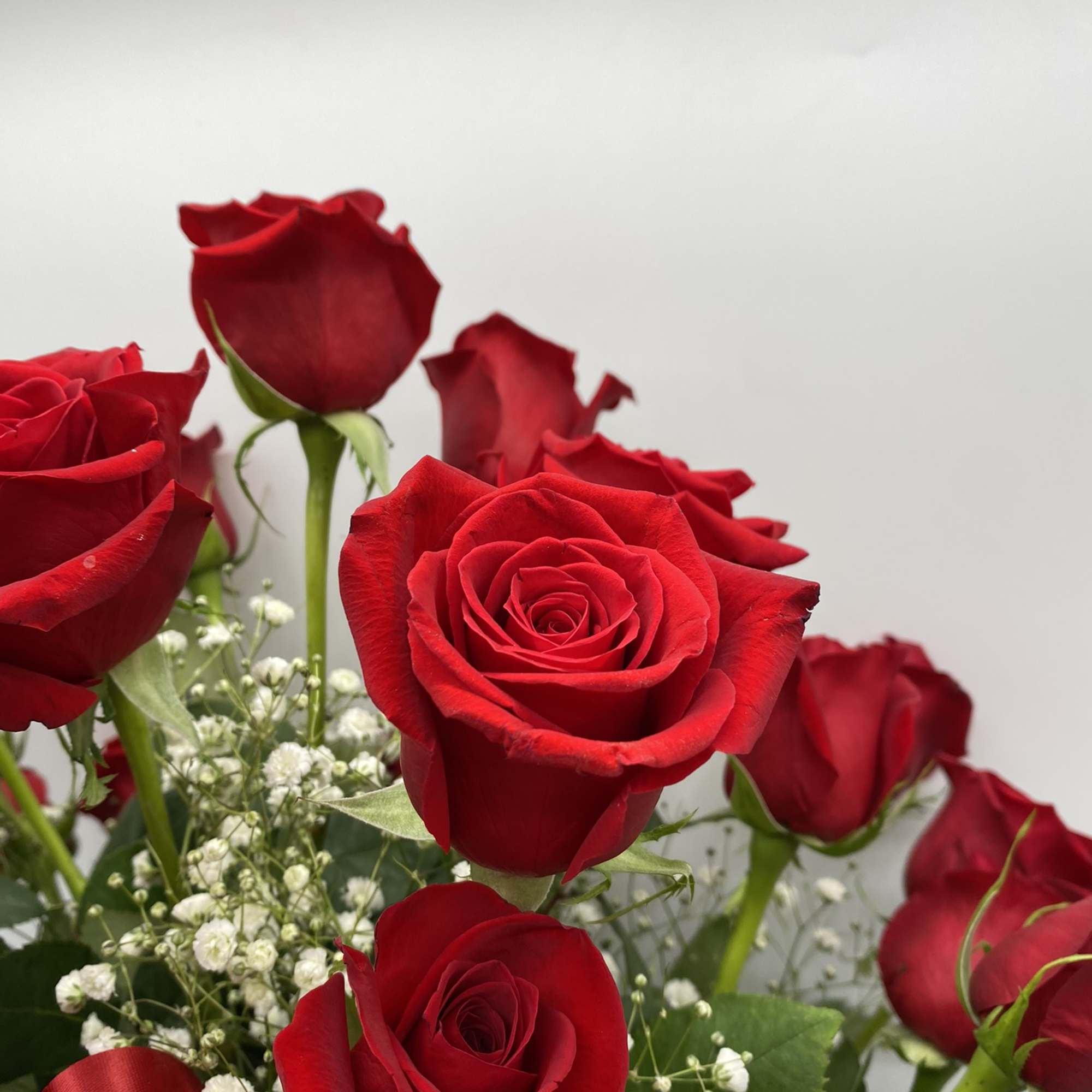 Two Dozen Premium Roses for that Special Someone!