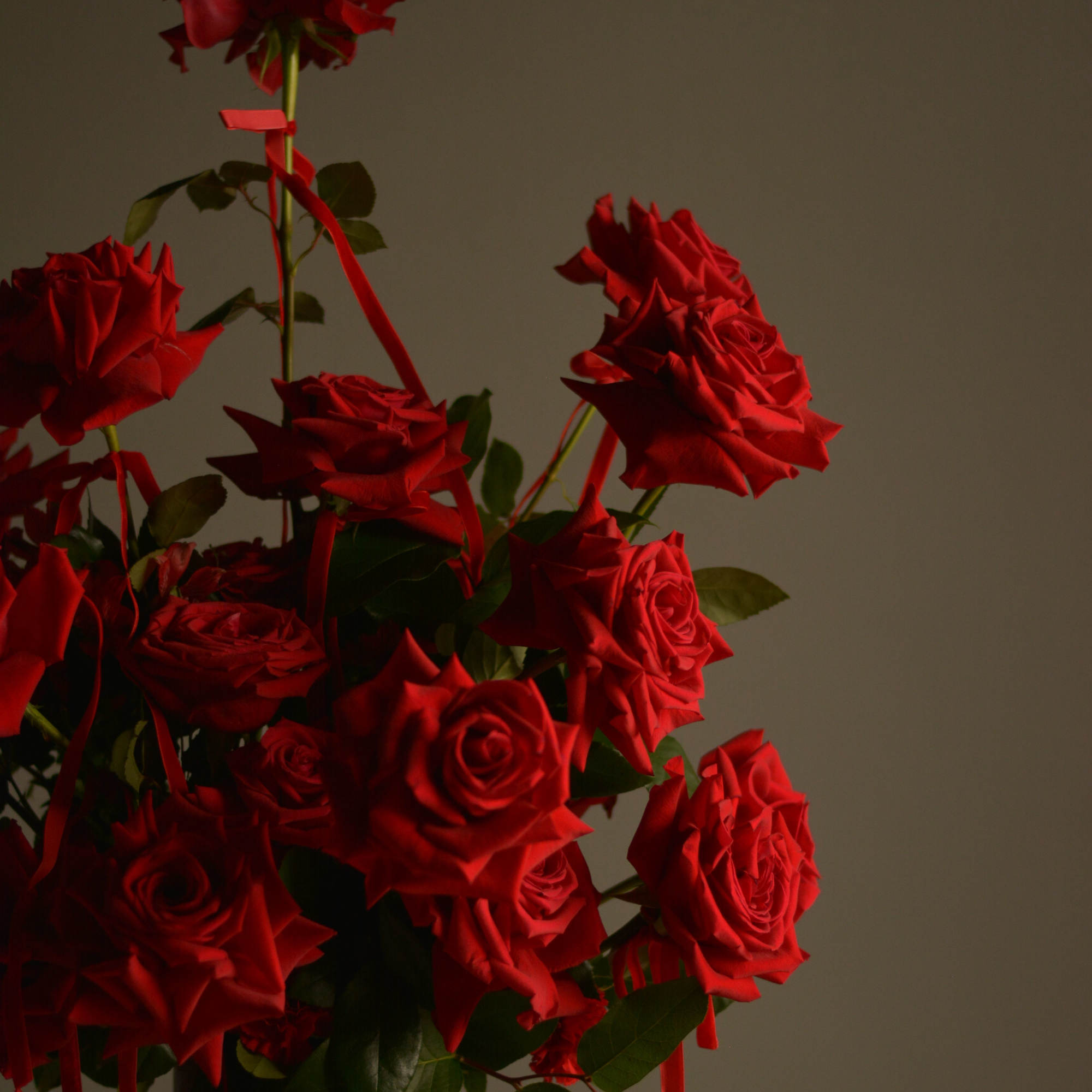 For lovers and big feelings this Valentine! ️&zwj;&harr;️