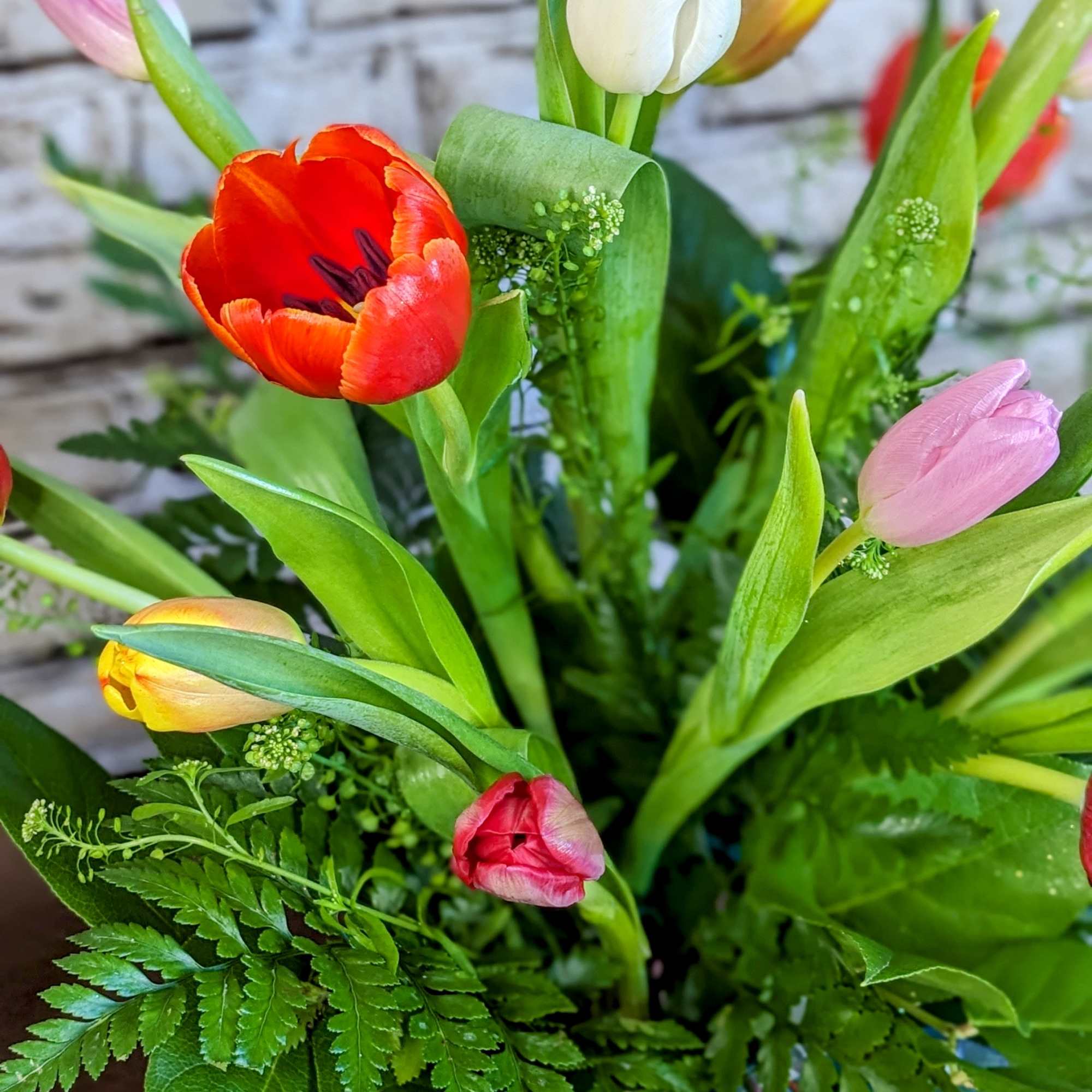 An arrangement of a dozen mixed-color tulips, artfully paired with fresh greenery