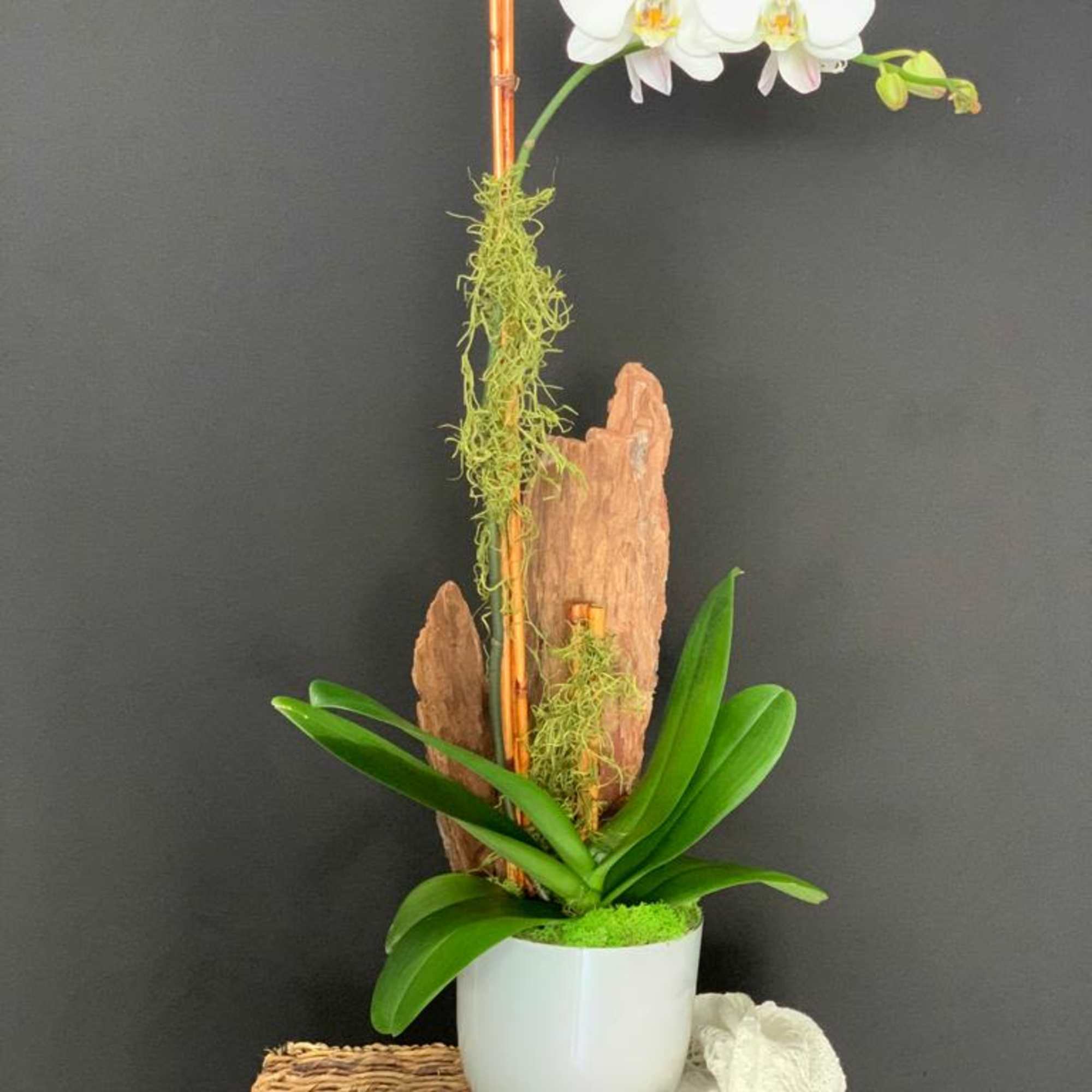 Each design celebrates our loved ones, the special moments in our lives