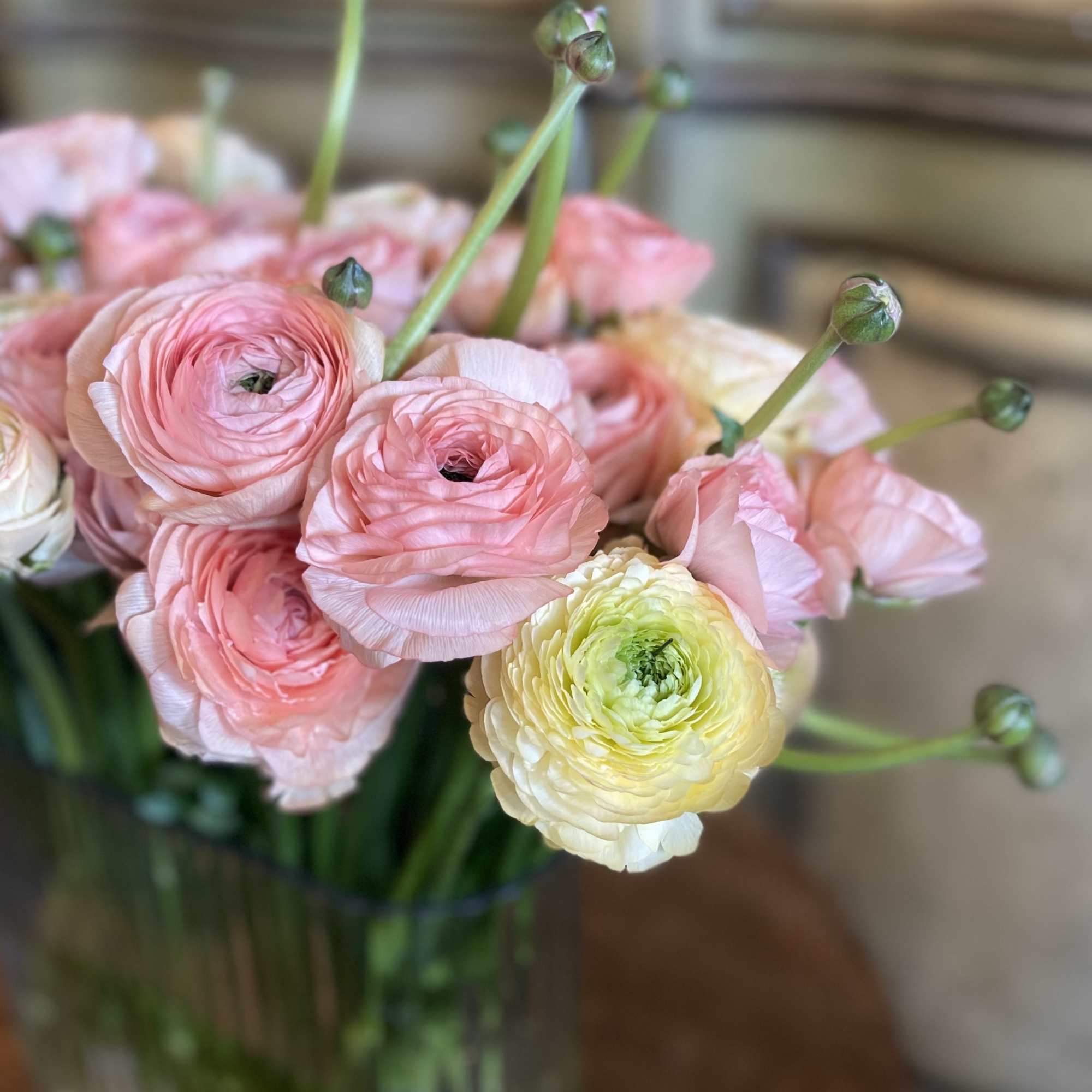 The simplicity of Simply Ranunculus lets the beauty of these elegant blooms