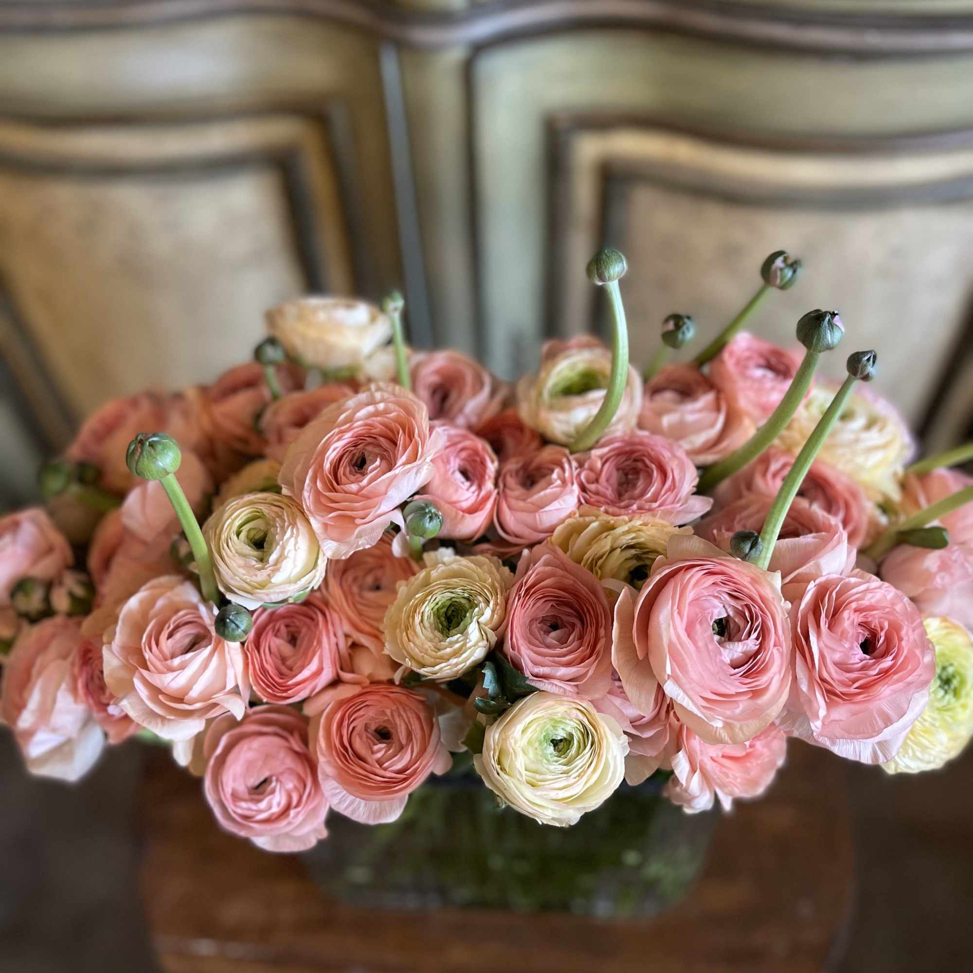 The simplicity of Simply Ranunculus lets the beauty of these elegant blooms