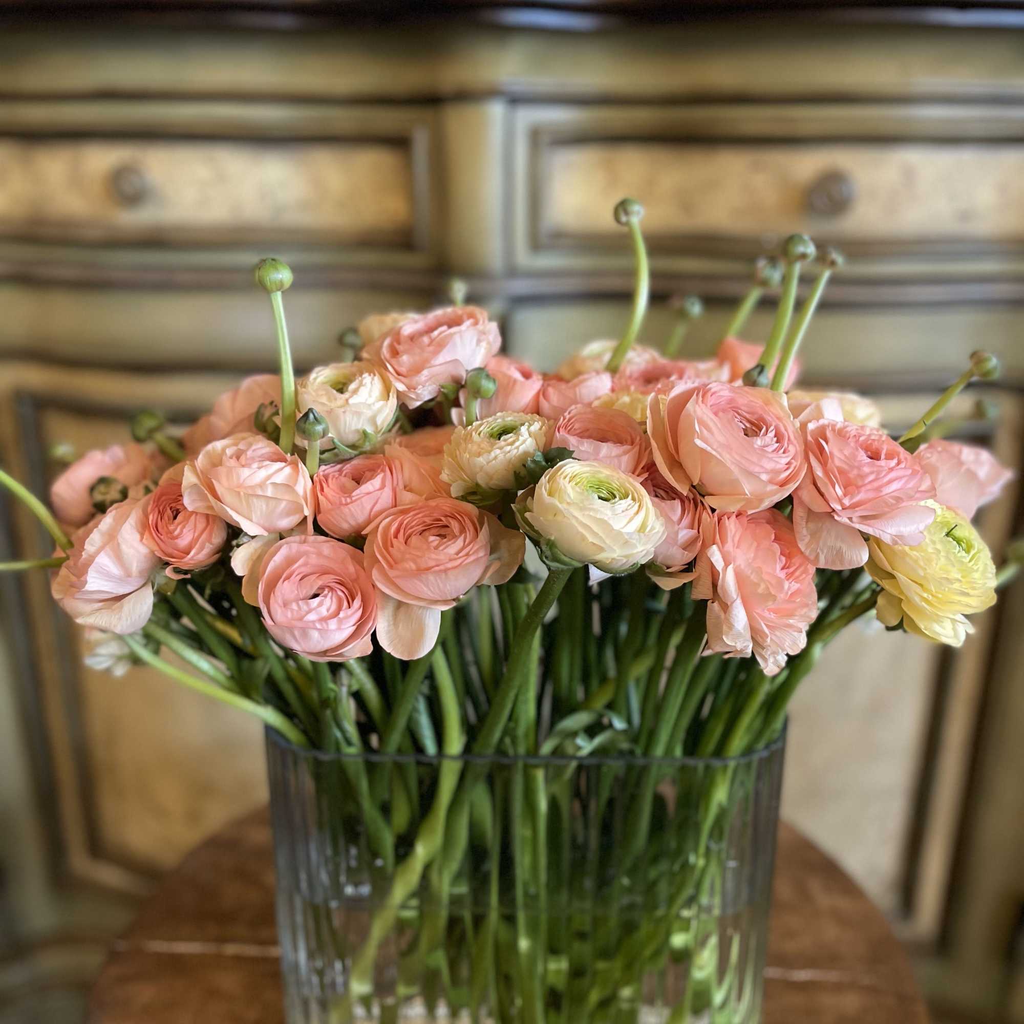 The simplicity of Simply Ranunculus lets the beauty of these elegant blooms