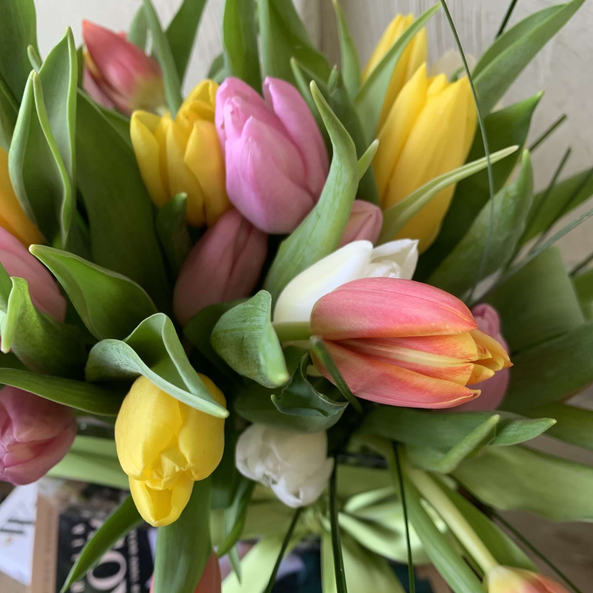 An assorted mix of beautiful spring tulips. 
