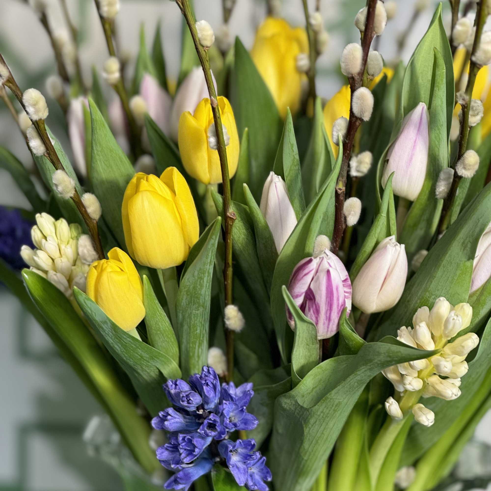 Embrace the lively spirit of spring with Spring Harmony, an enchanting floral