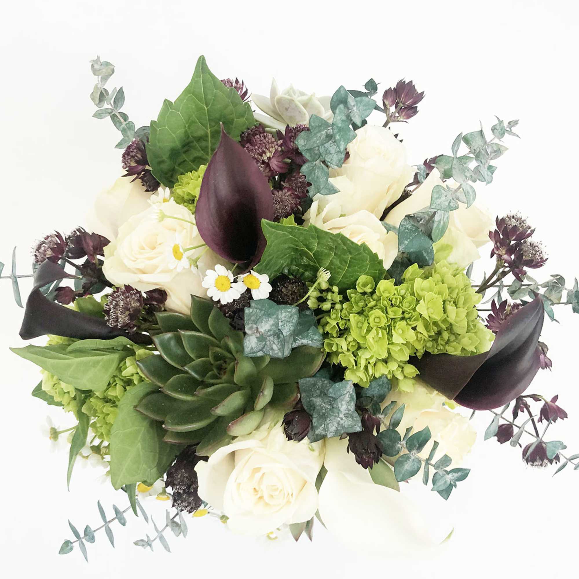 This arrangement features succulents, calla lily, white roses and lush greens. 