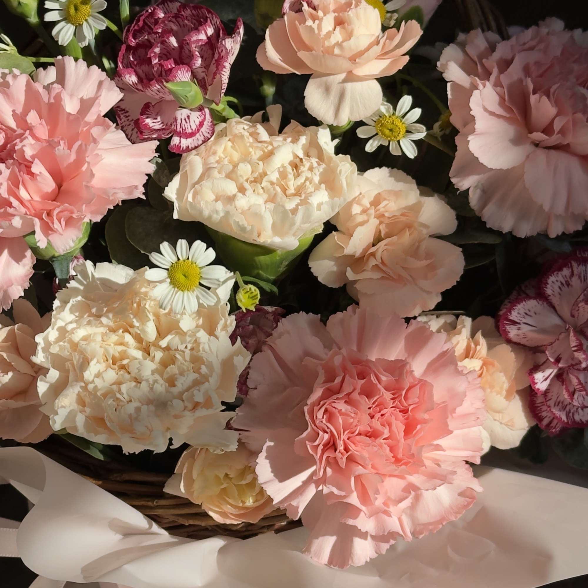 This petite floral basket showcases fresh mini carnations arranged with light filler