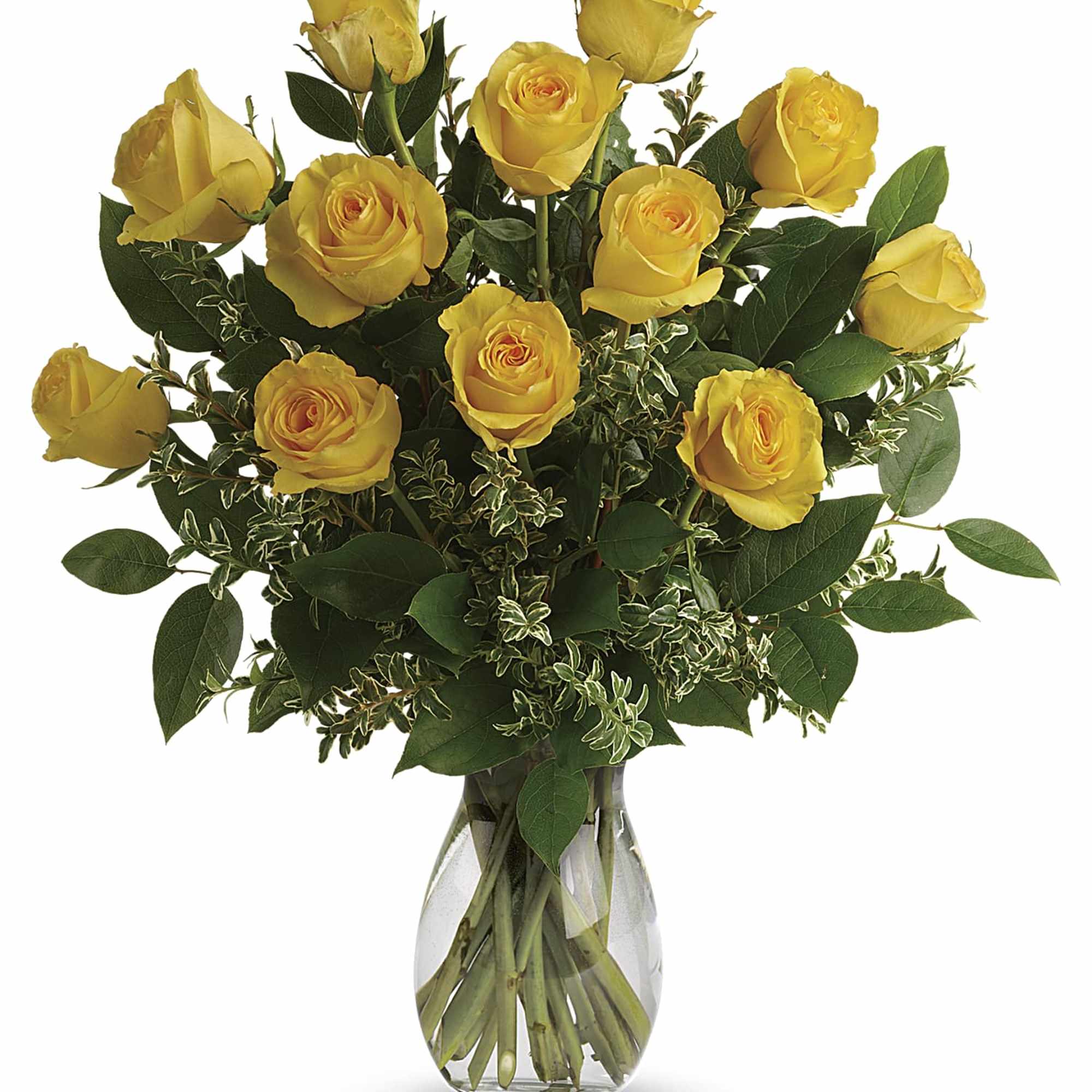 Sunshine yellow roses are sure to brighten any ones day. These sunny