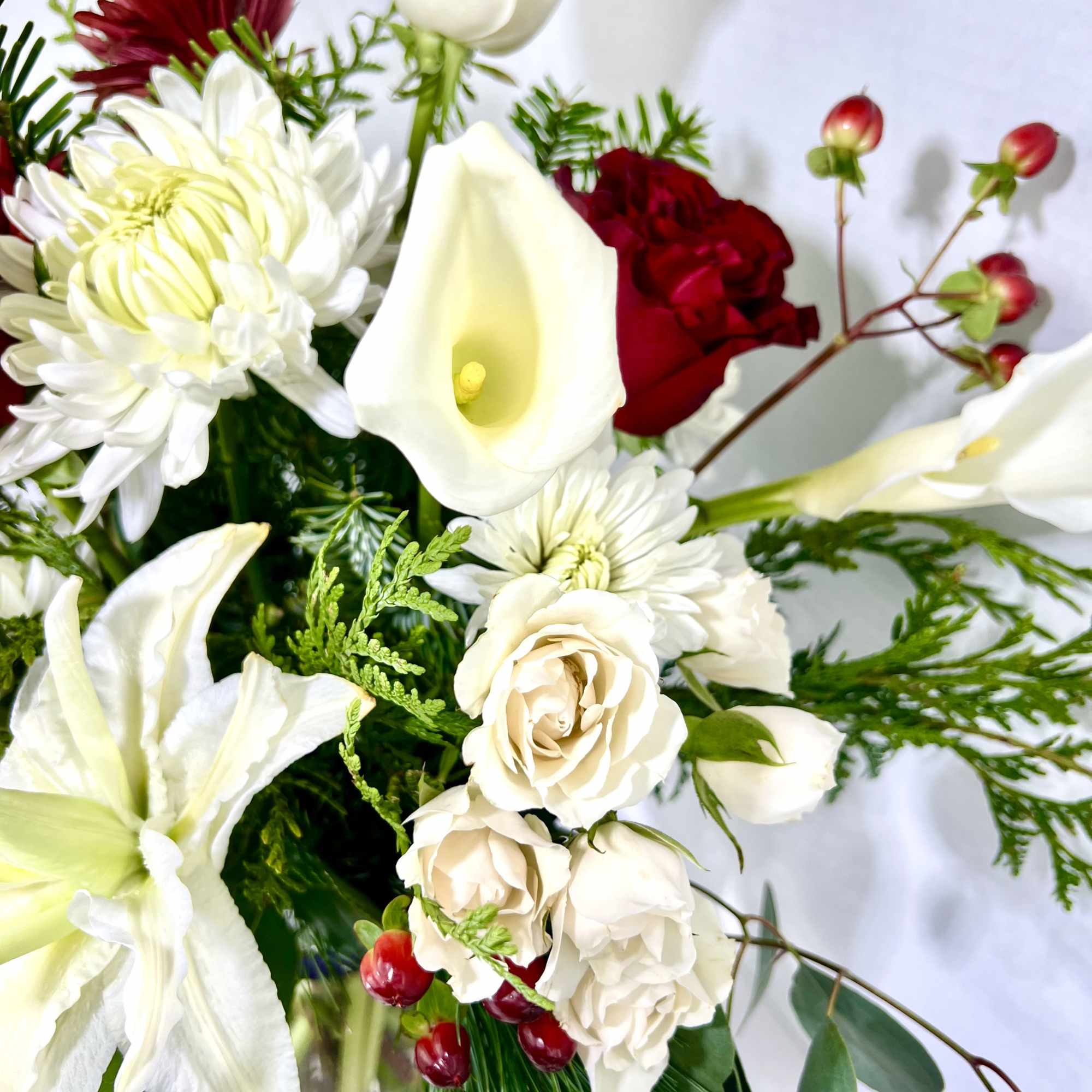 This deep crimson garden rose variety has ruffled petals that form a