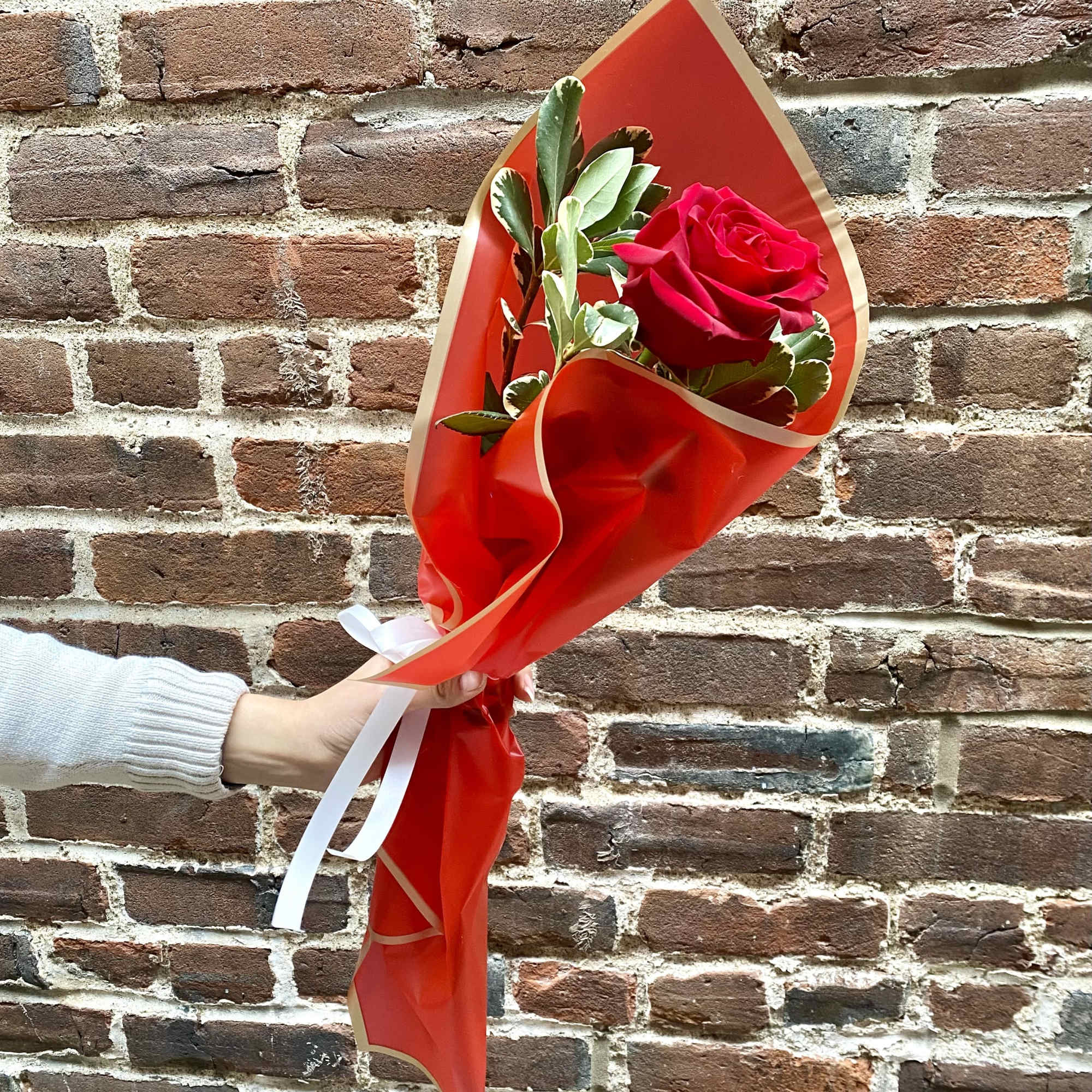 One rose wrapped in paper with a touch of foliage: Please indicate